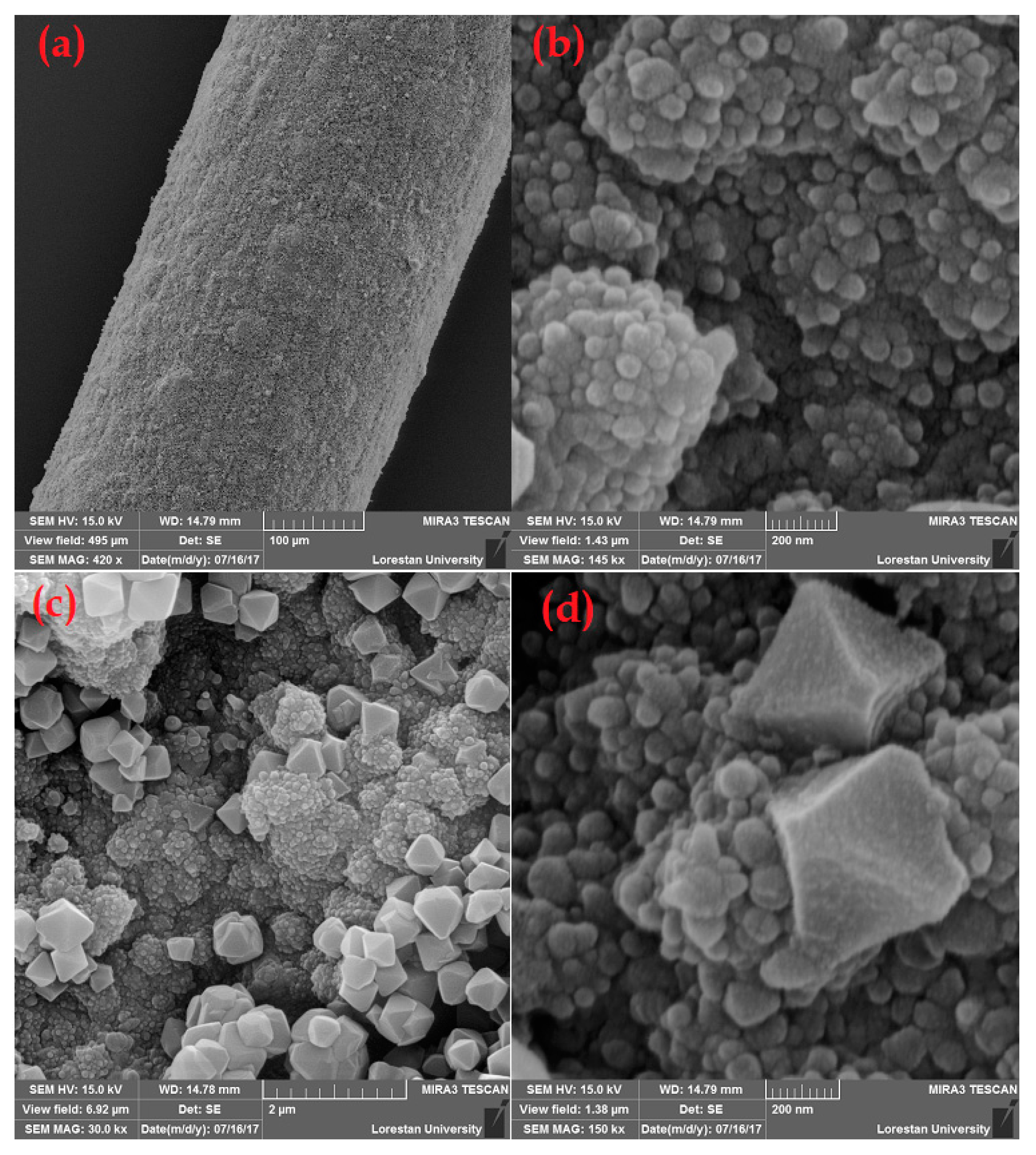 Molecules 25 00644 g002 Molecules 25 00644 g002
