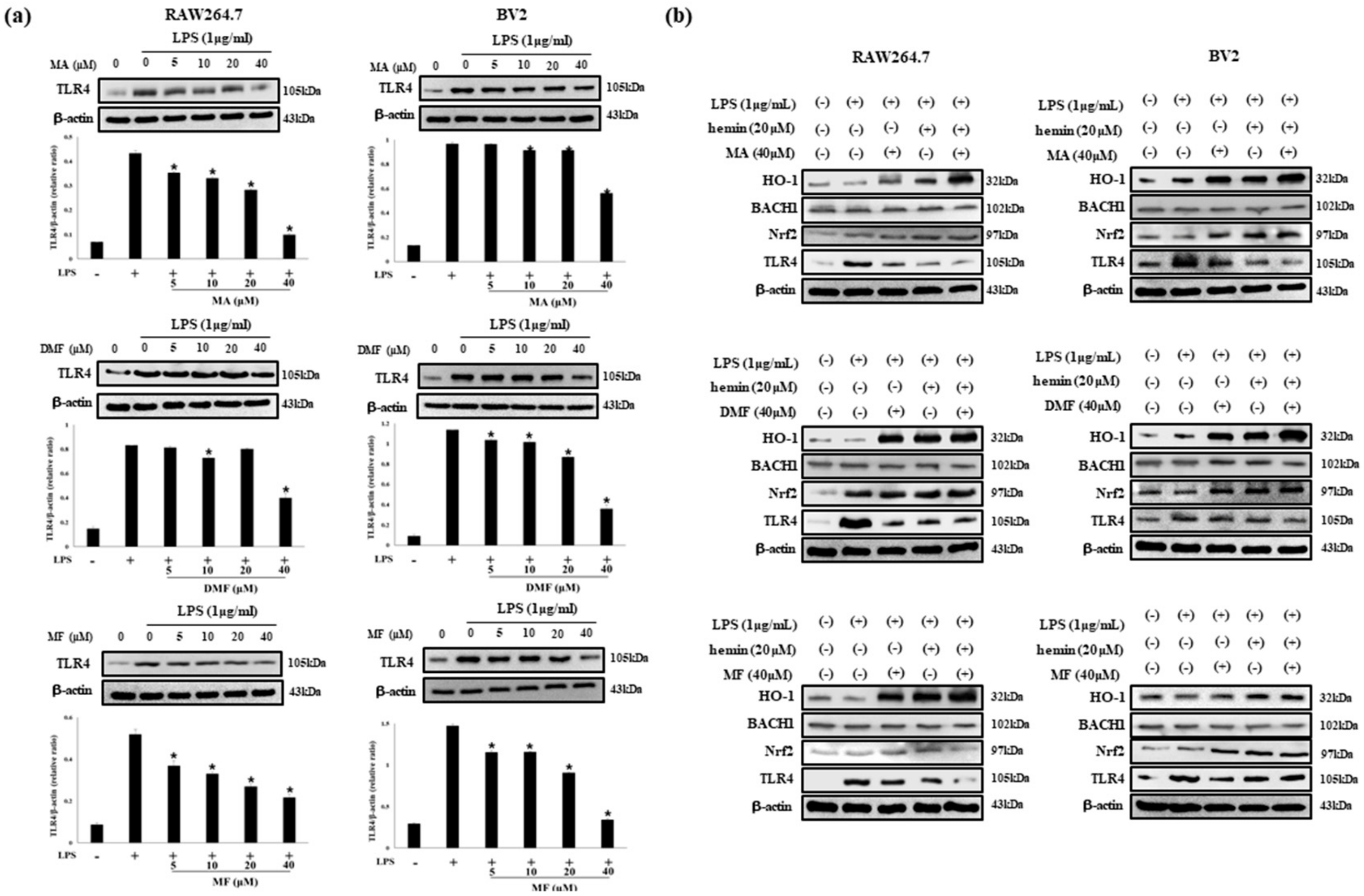 Molecules 25 00656 g005 Molecules 25 00656 g005