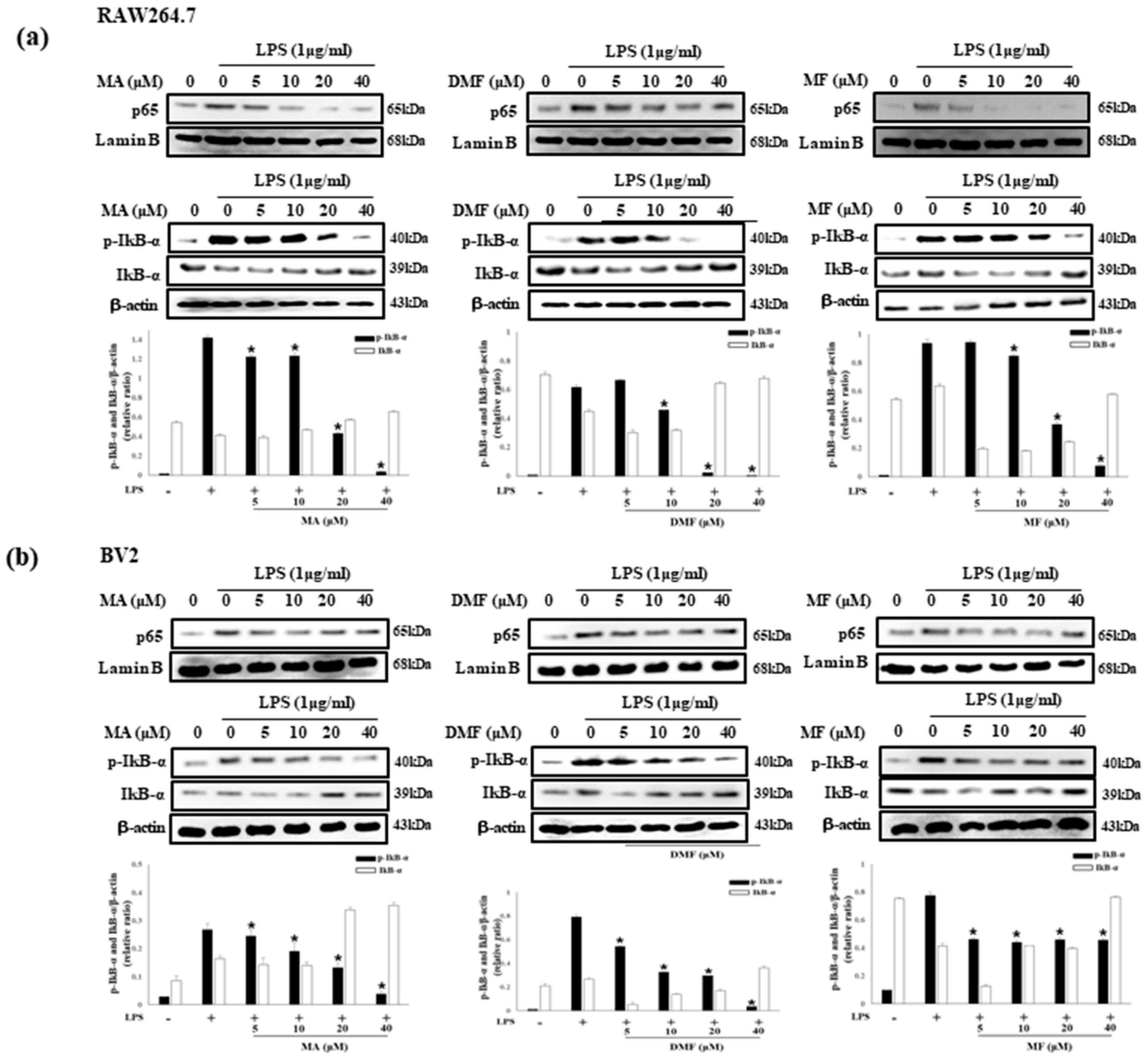 Molecules 25 00656 g007 Molecules 25 00656 g007