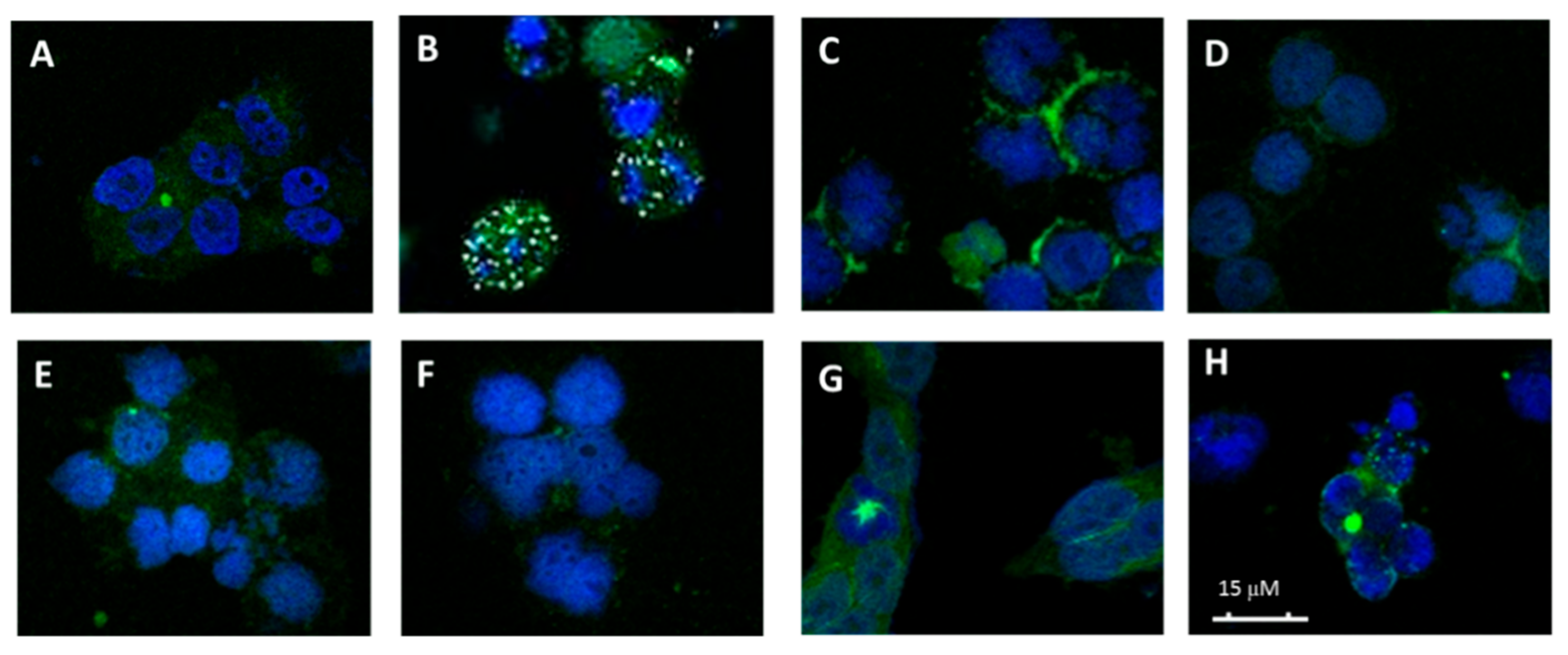 Molecules 25 00660 g005
