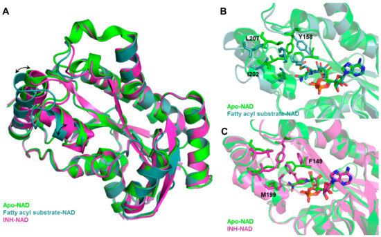 In Silico Strategies in Tuberculosis Drug Discovery