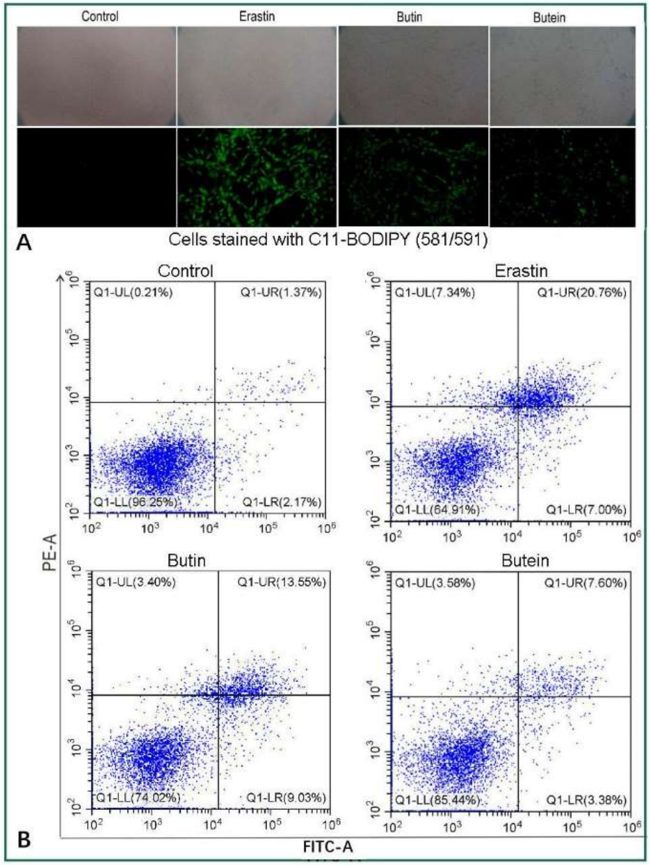 Molecules 25 00674 g002