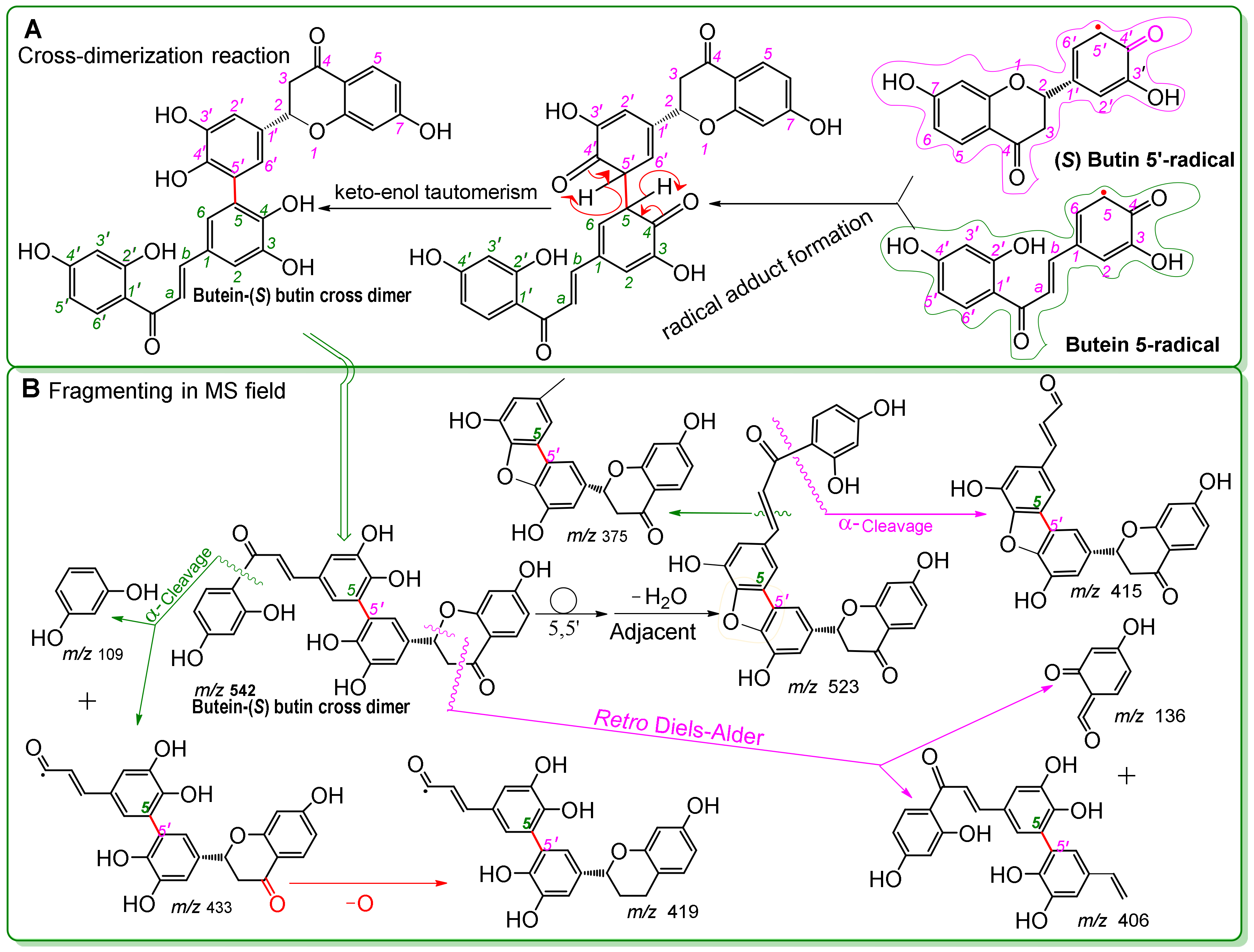 Molecules 25 00674 g007