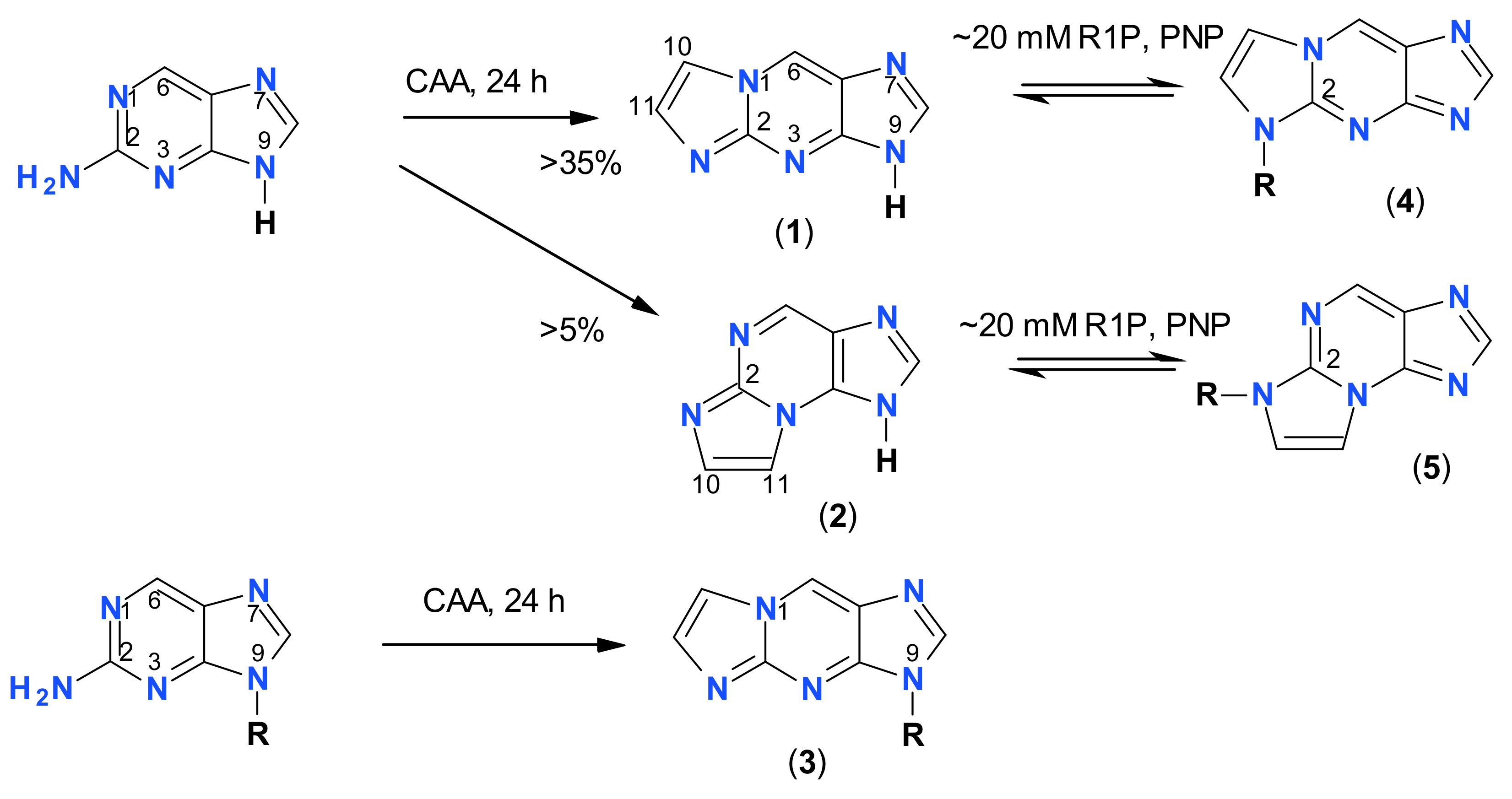 Molecules 25 00681 g013 Molecules 25 00681 g013