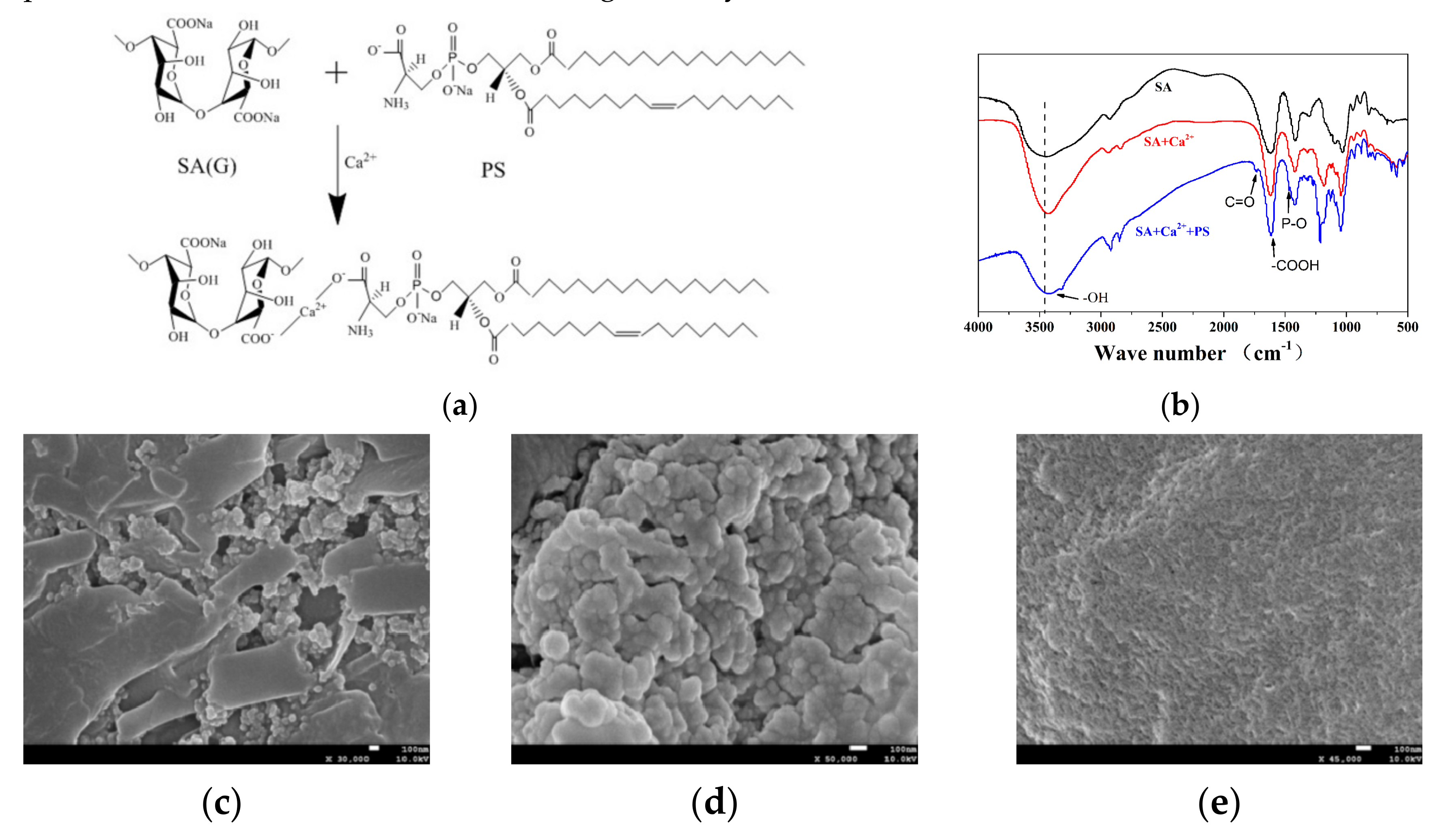 Molecules 25 00694 g002 Molecules 25 00694 g002