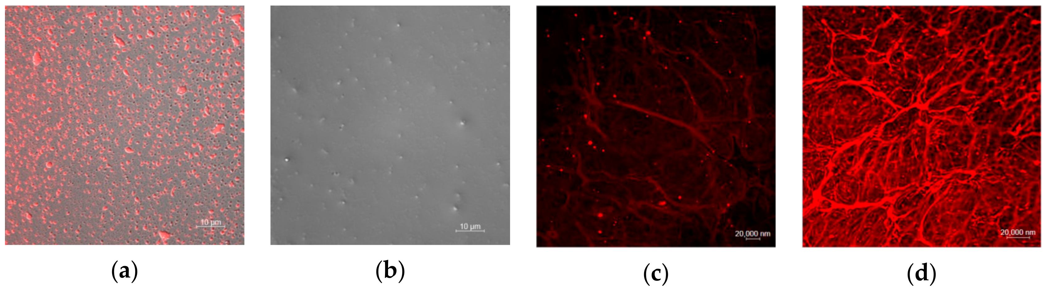 Molecules 25 00694 g005 Molecules 25 00694 g005