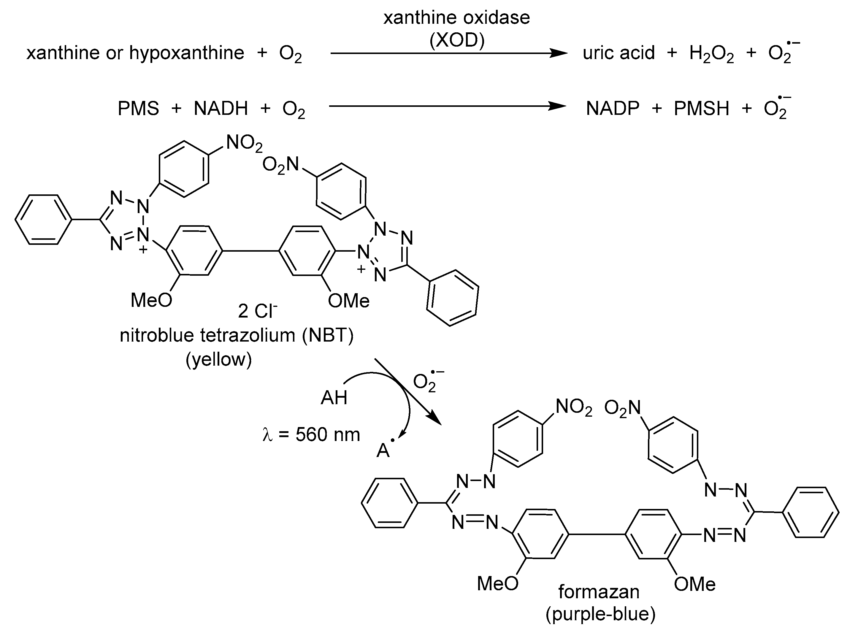 Molecules 25 00696 sch004