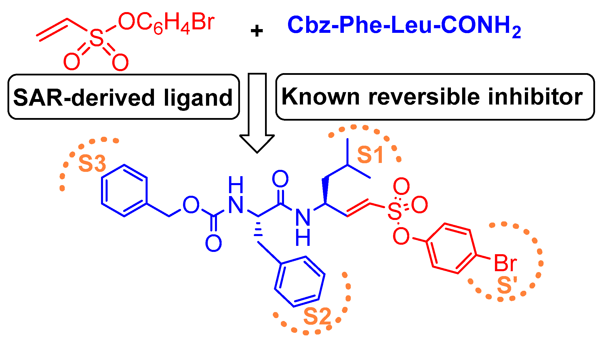 Molecules 25 00698 g010 Molecules 25 00698 g010
