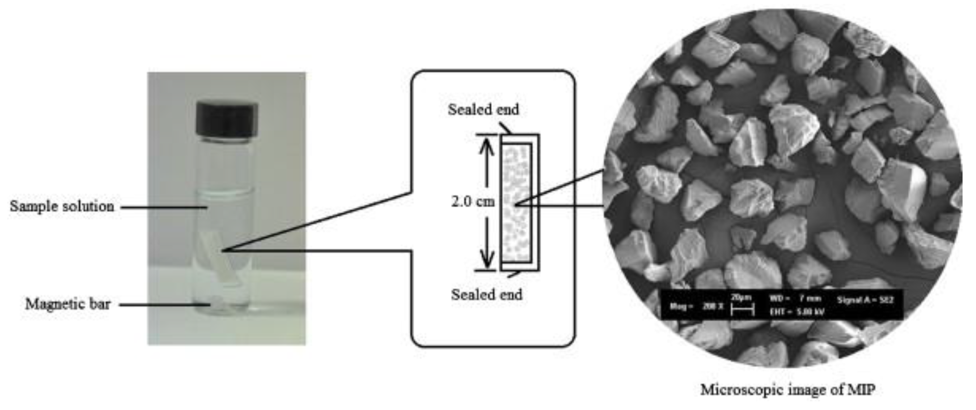 Molecules 25 00702 g002