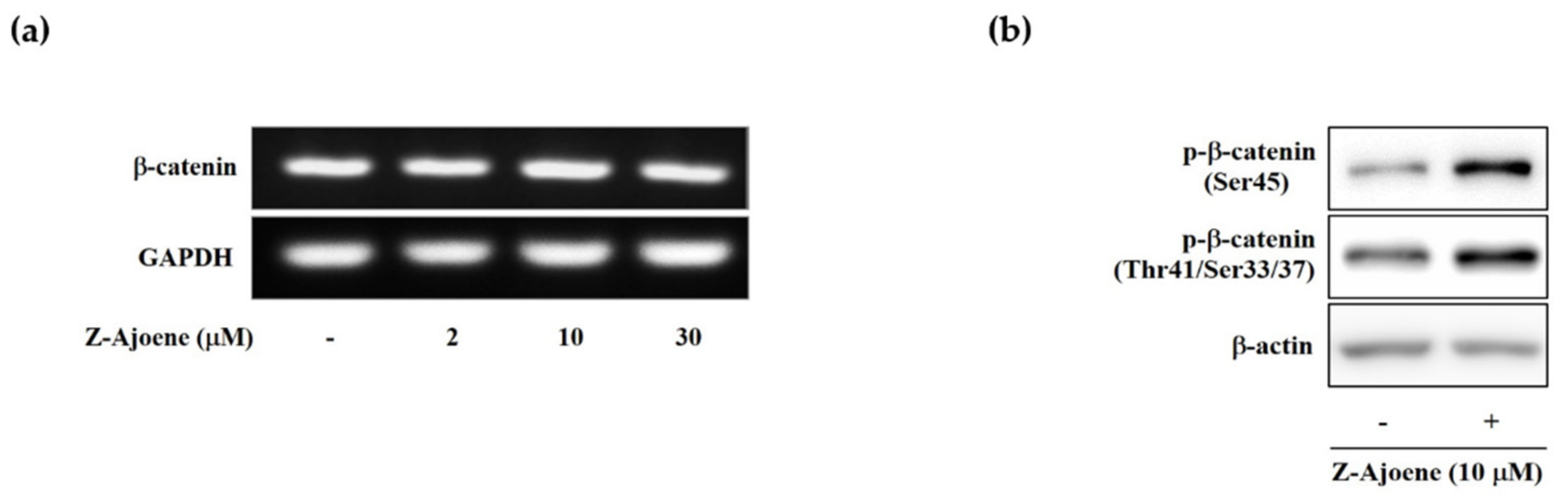 Molecules 25 00703 g003
