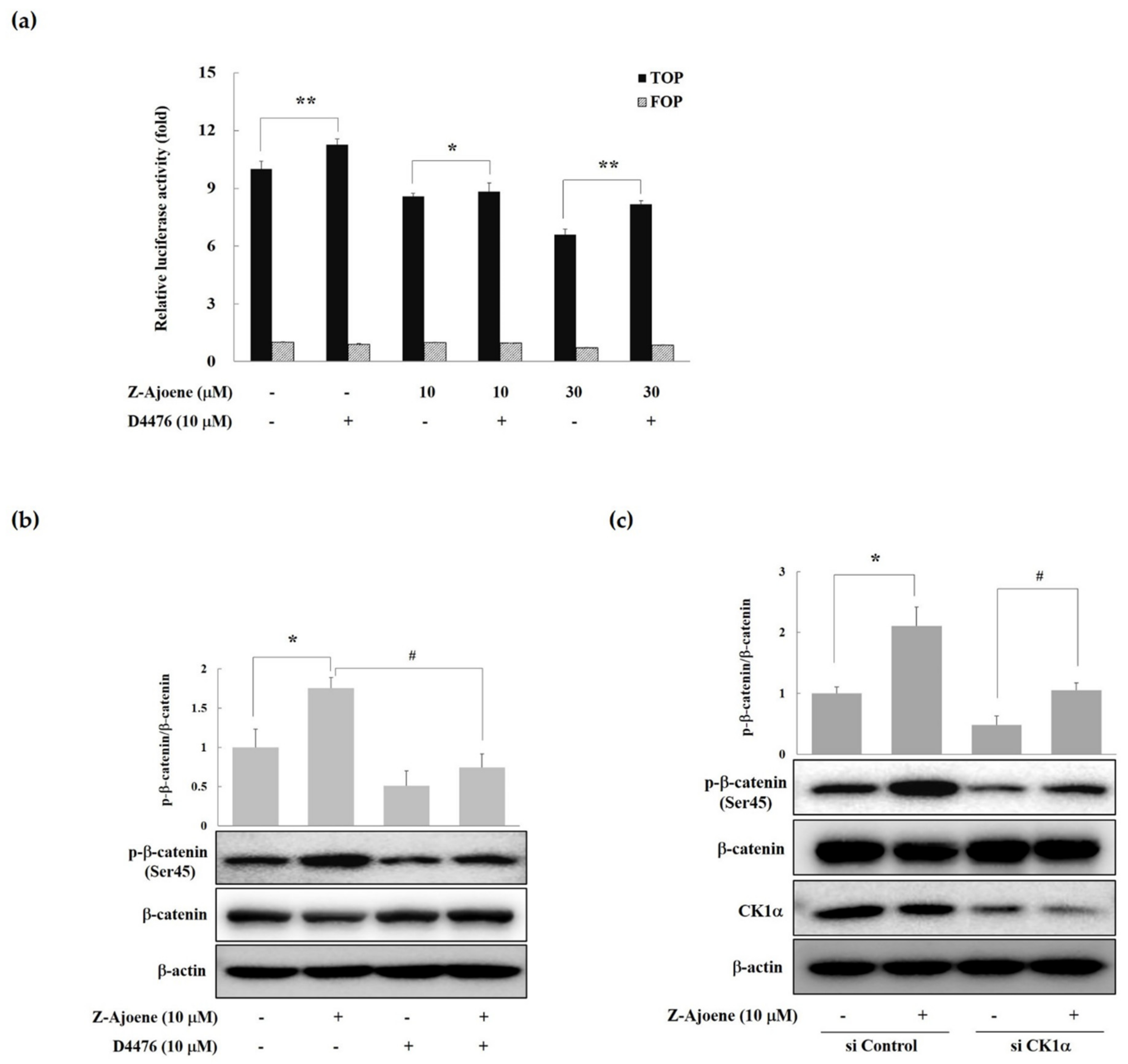 Molecules 25 00703 g004