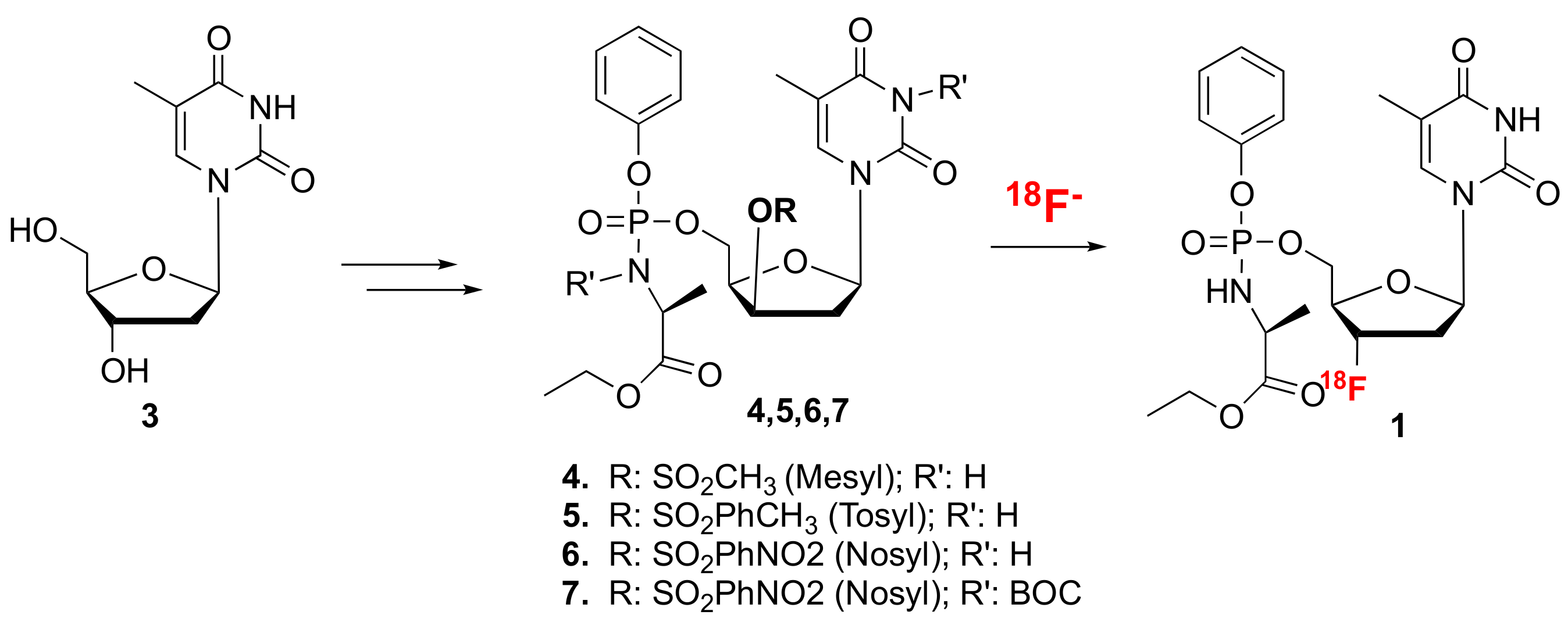 Molecules 25 00704 sch001