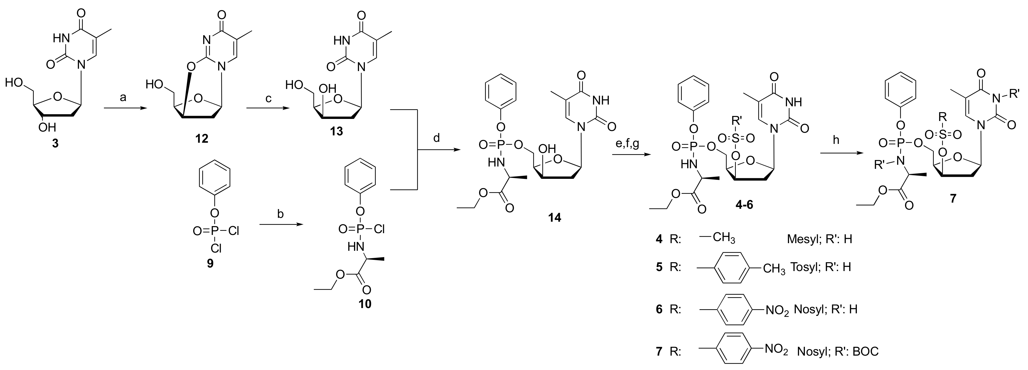 Molecules 25 00704 sch003