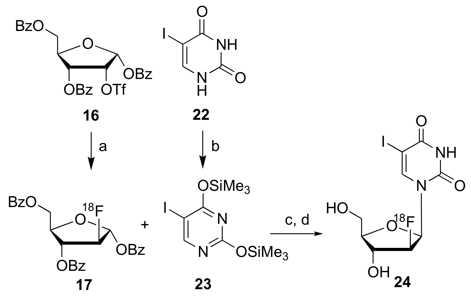 Molecules 25 00704 sch007