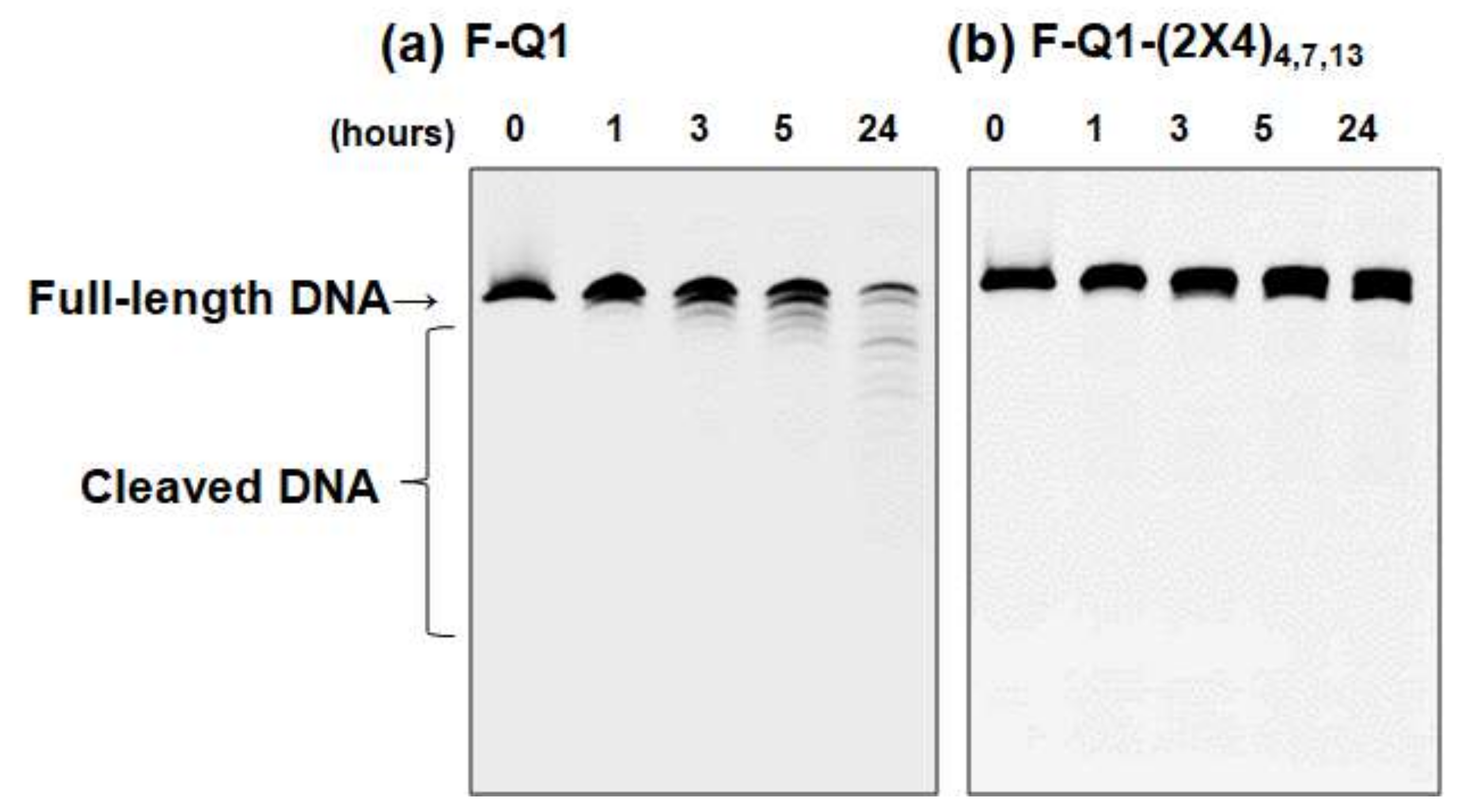 Molecules 25 00705 g006 Molecules 25 00705 g006