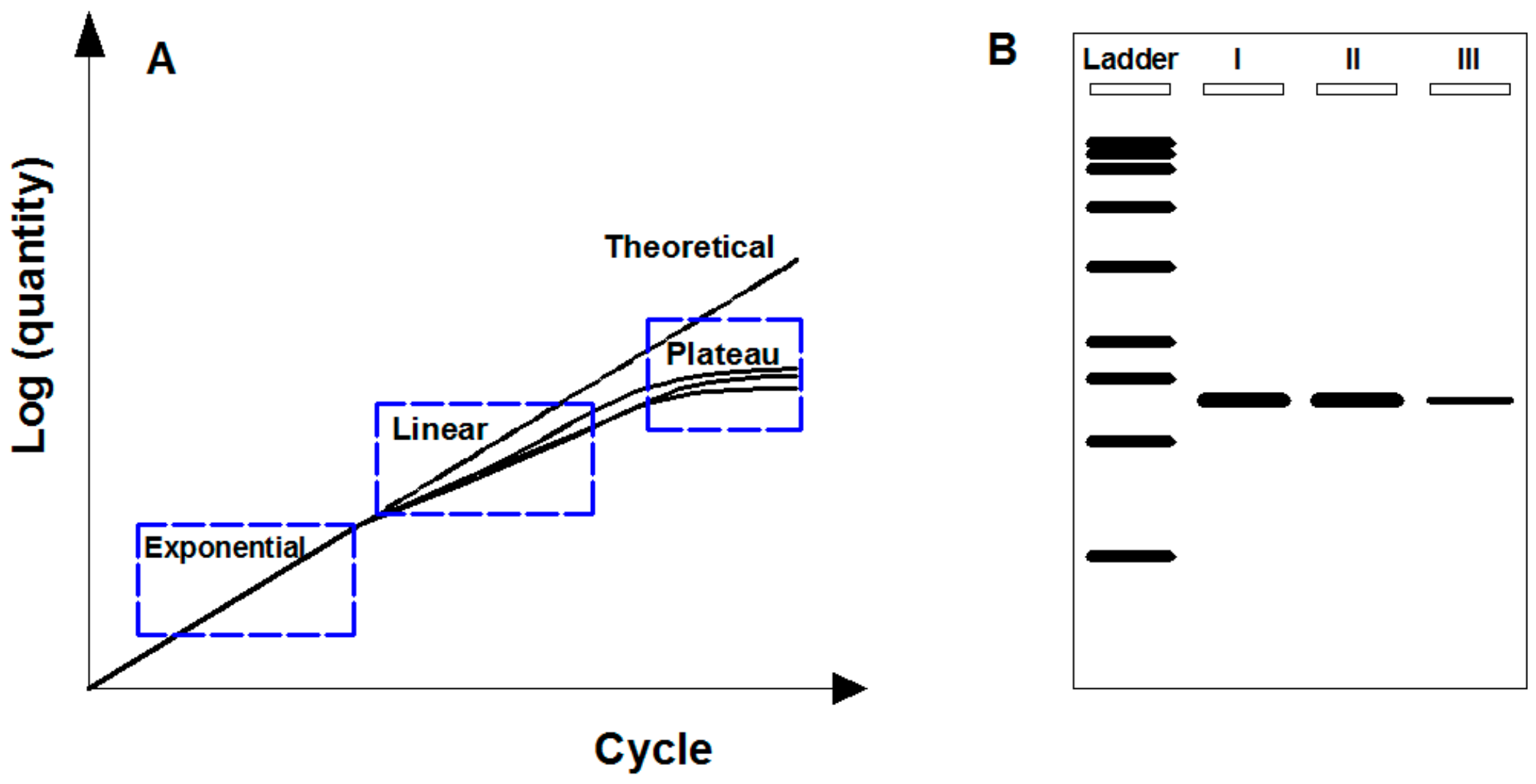 Molecules 25 00706 g001 Molecules 25 00706 g001