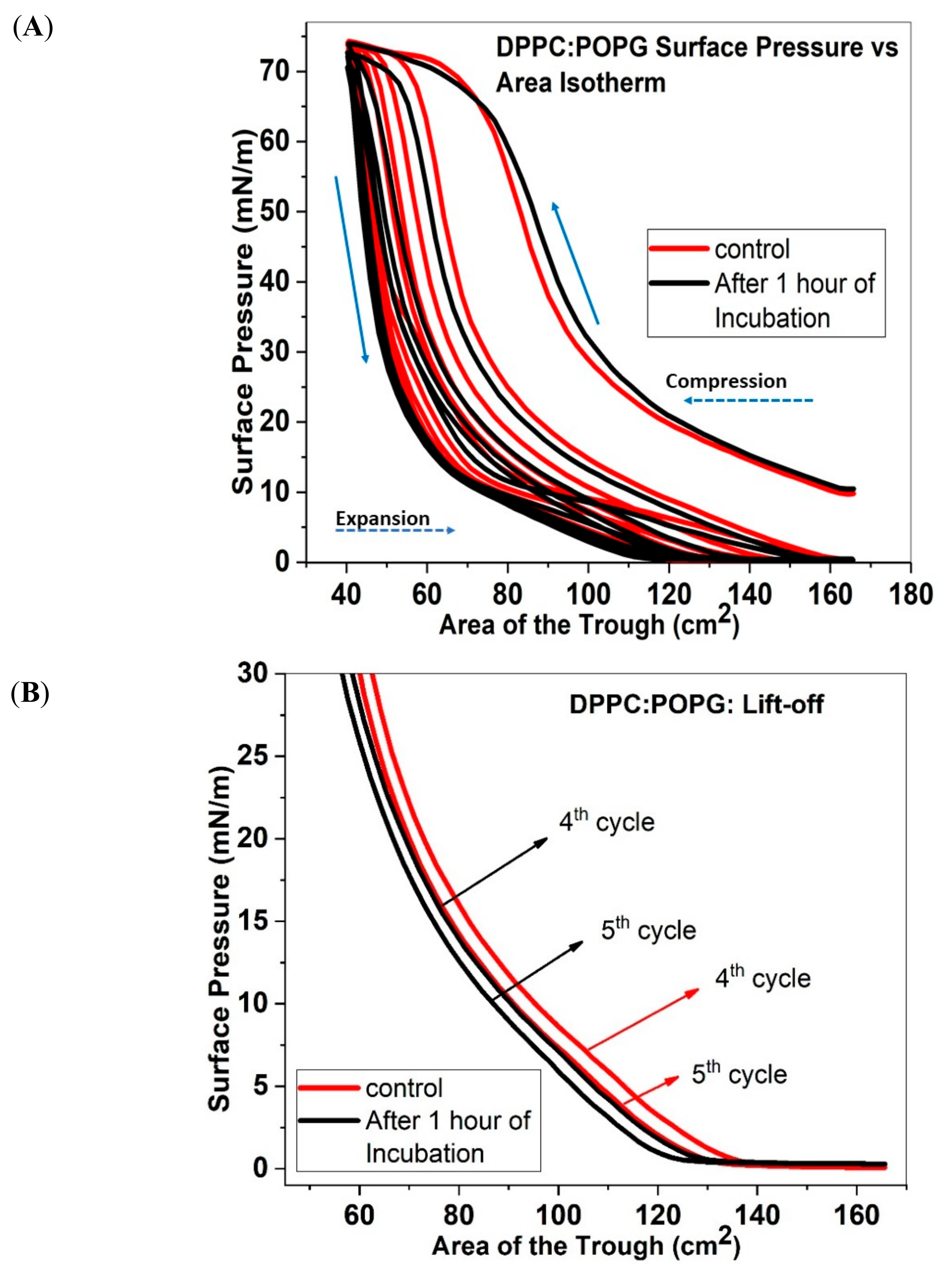 Molecules 25 00714 g001a