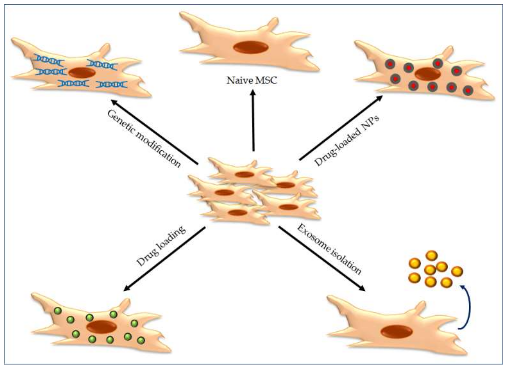 Molecules | Free Full-Text | Cell-Based Nanoparticles Delivery Systems