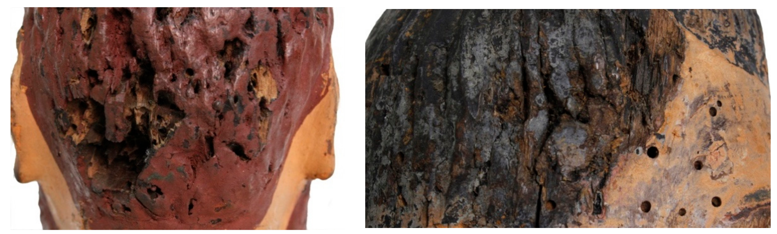 Molecules 25 00730 g002 Molecules 25 00730 g002