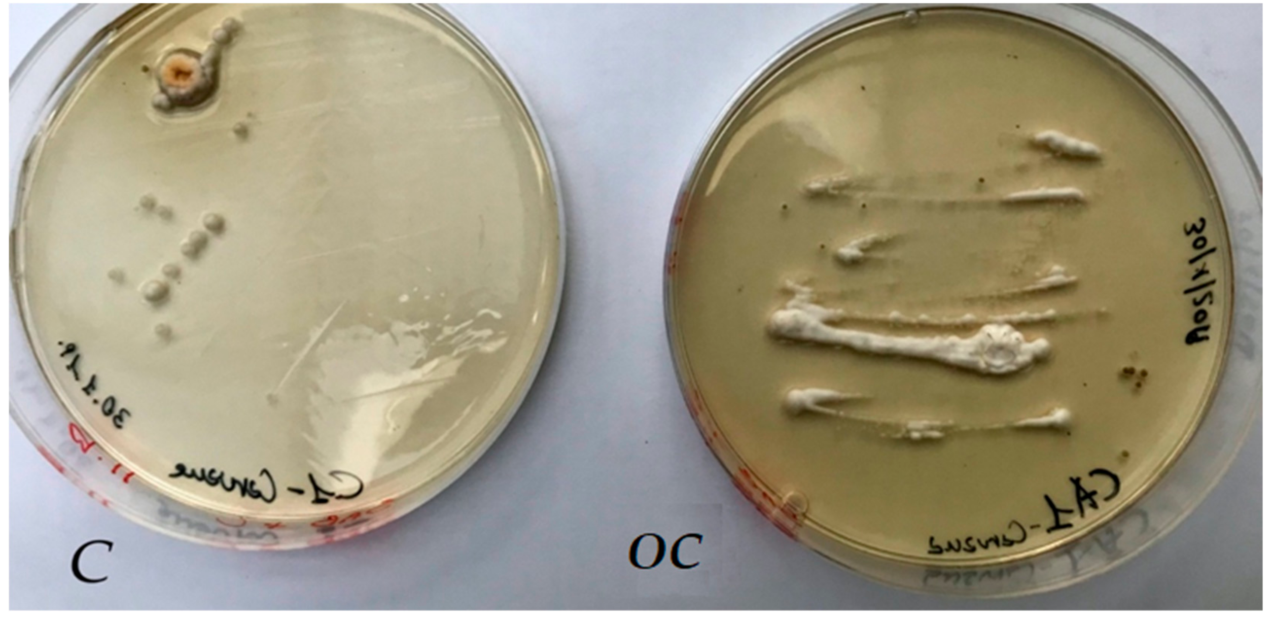 Molecules 25 00730 g006 Molecules 25 00730 g006