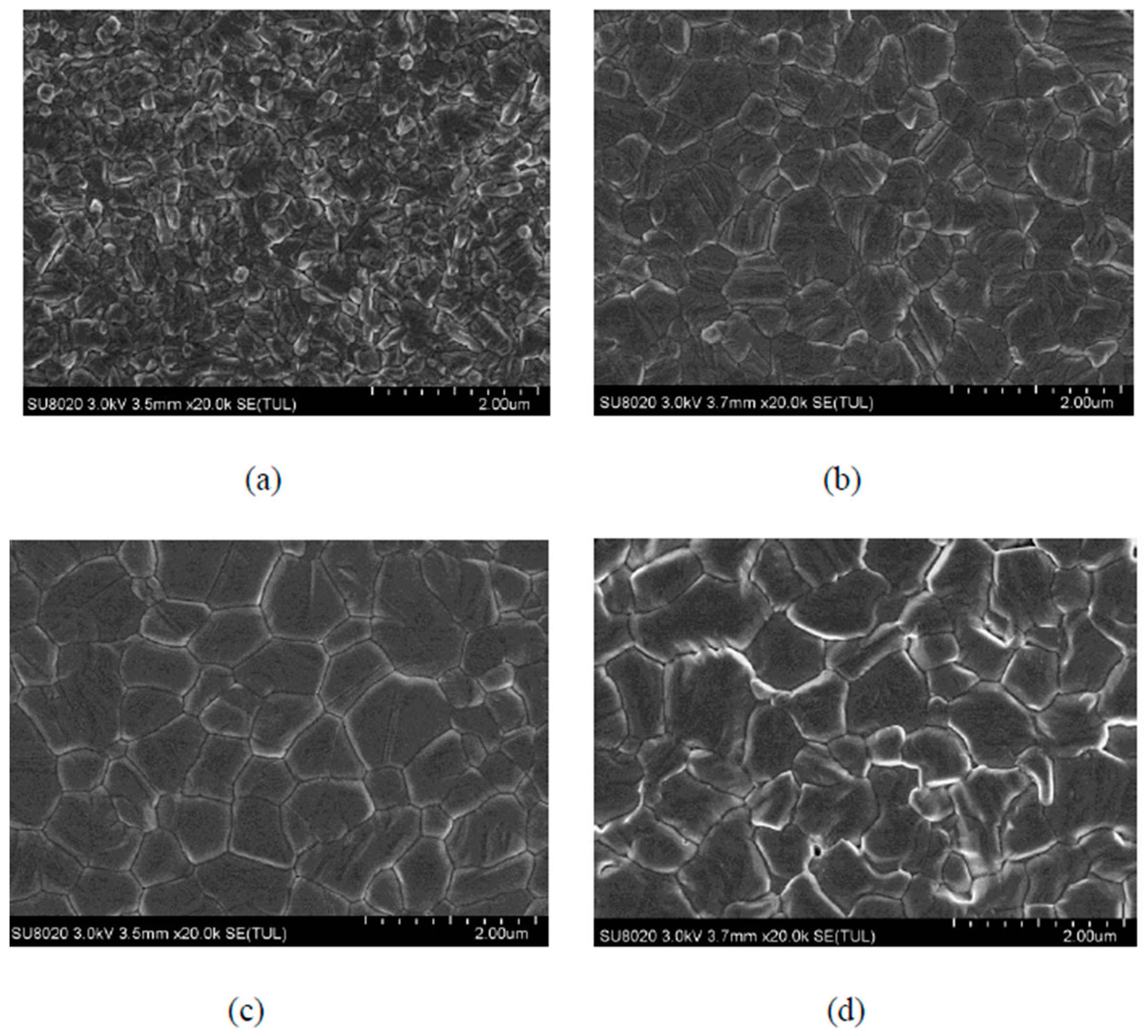 Molecules 25 00732 g001