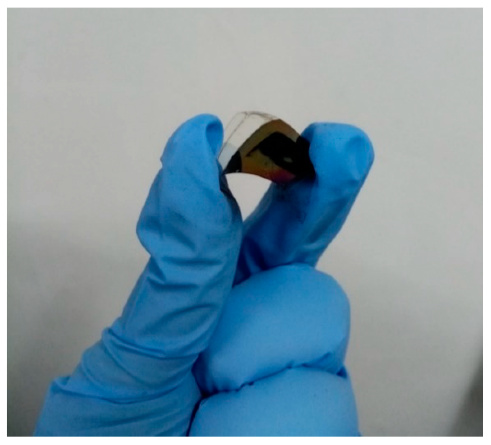 Molecules 25 00732 g007