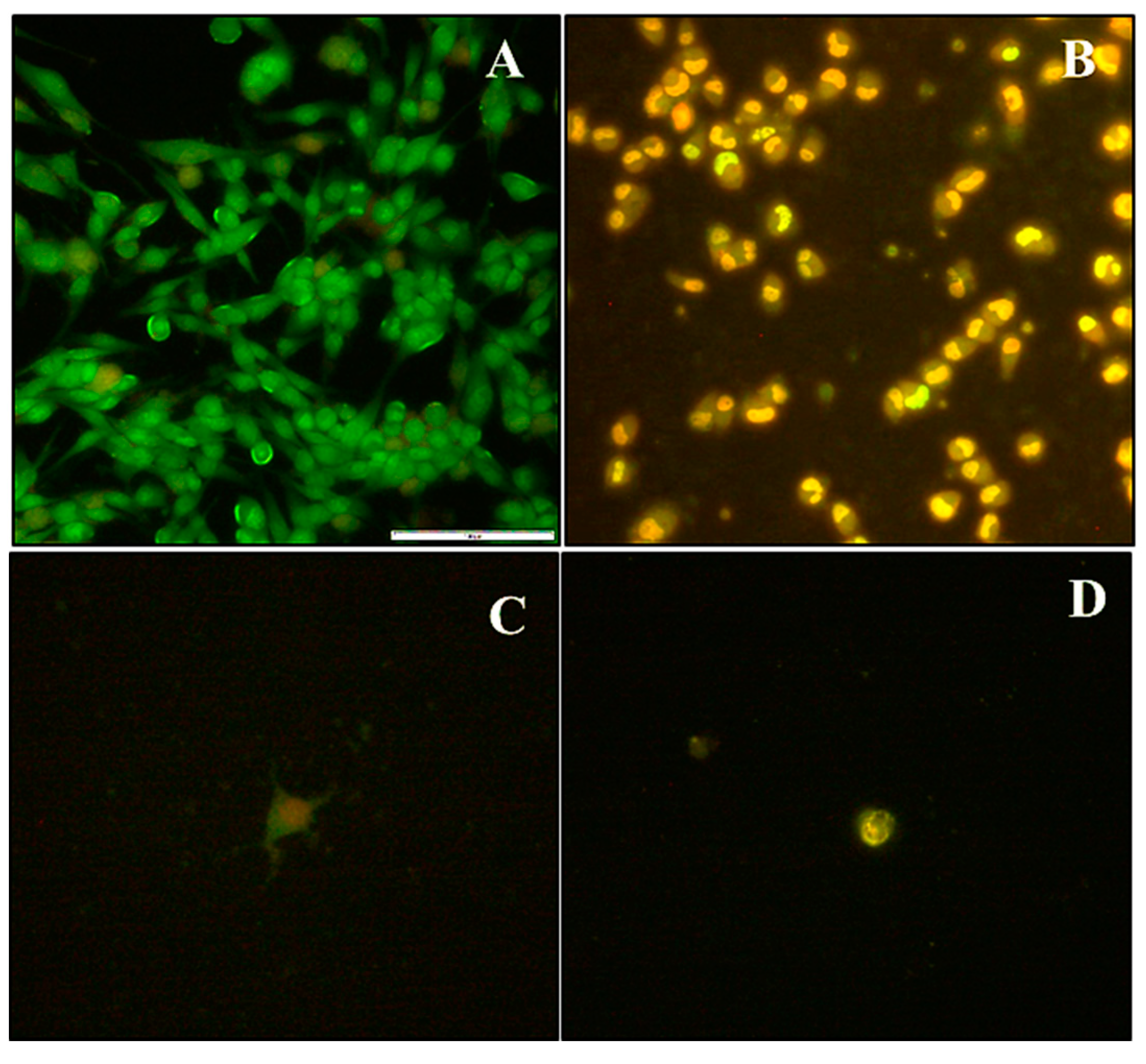 Molecules 25 00742 g007 Molecules 25 00742 g007