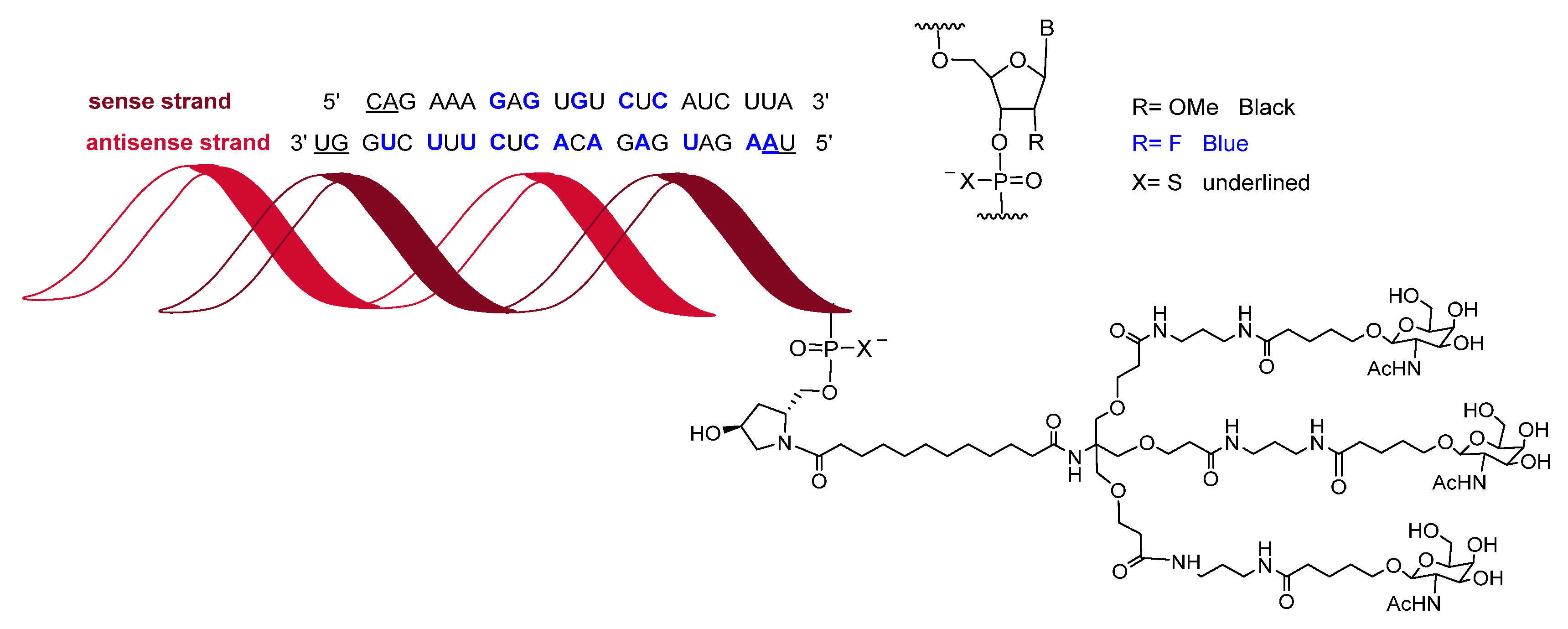 Molecules 25 00745 g009