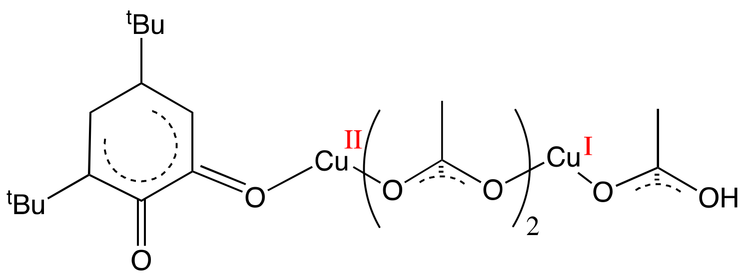 Molecules 25 00748 g009
