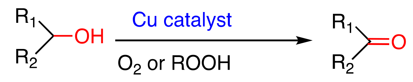 Molecules 25 00748 sch001
