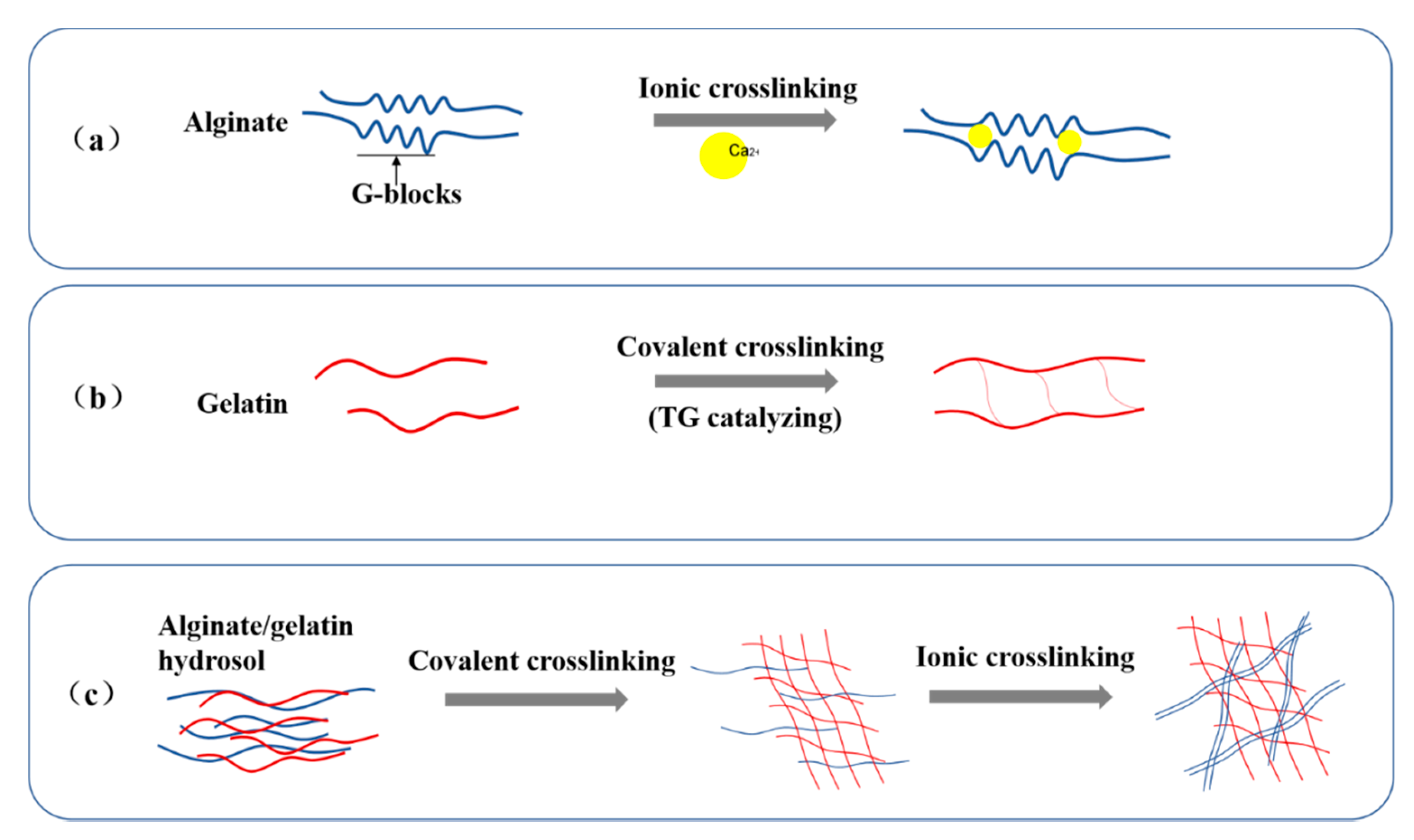 Molecules 25 00756 g002