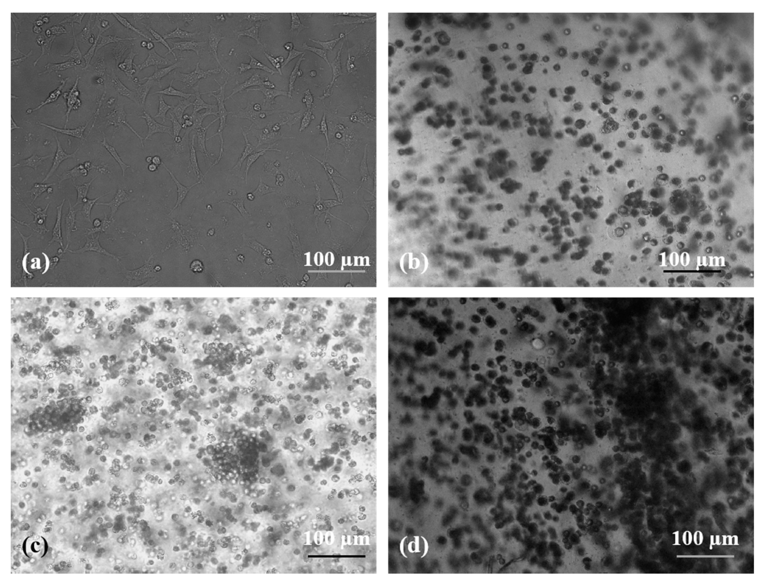Molecules 25 00756 g006