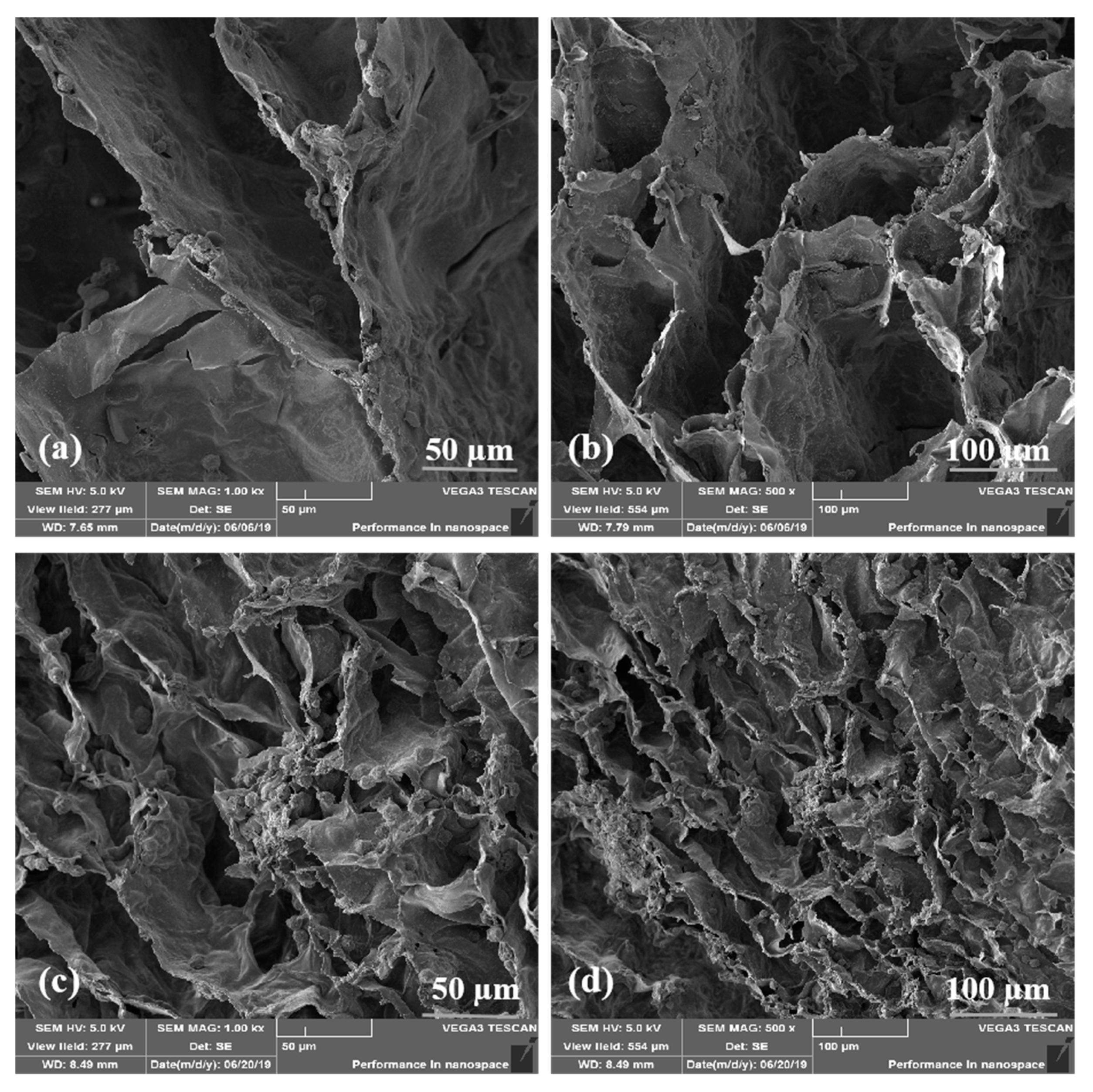 Molecules 25 00756 g007
