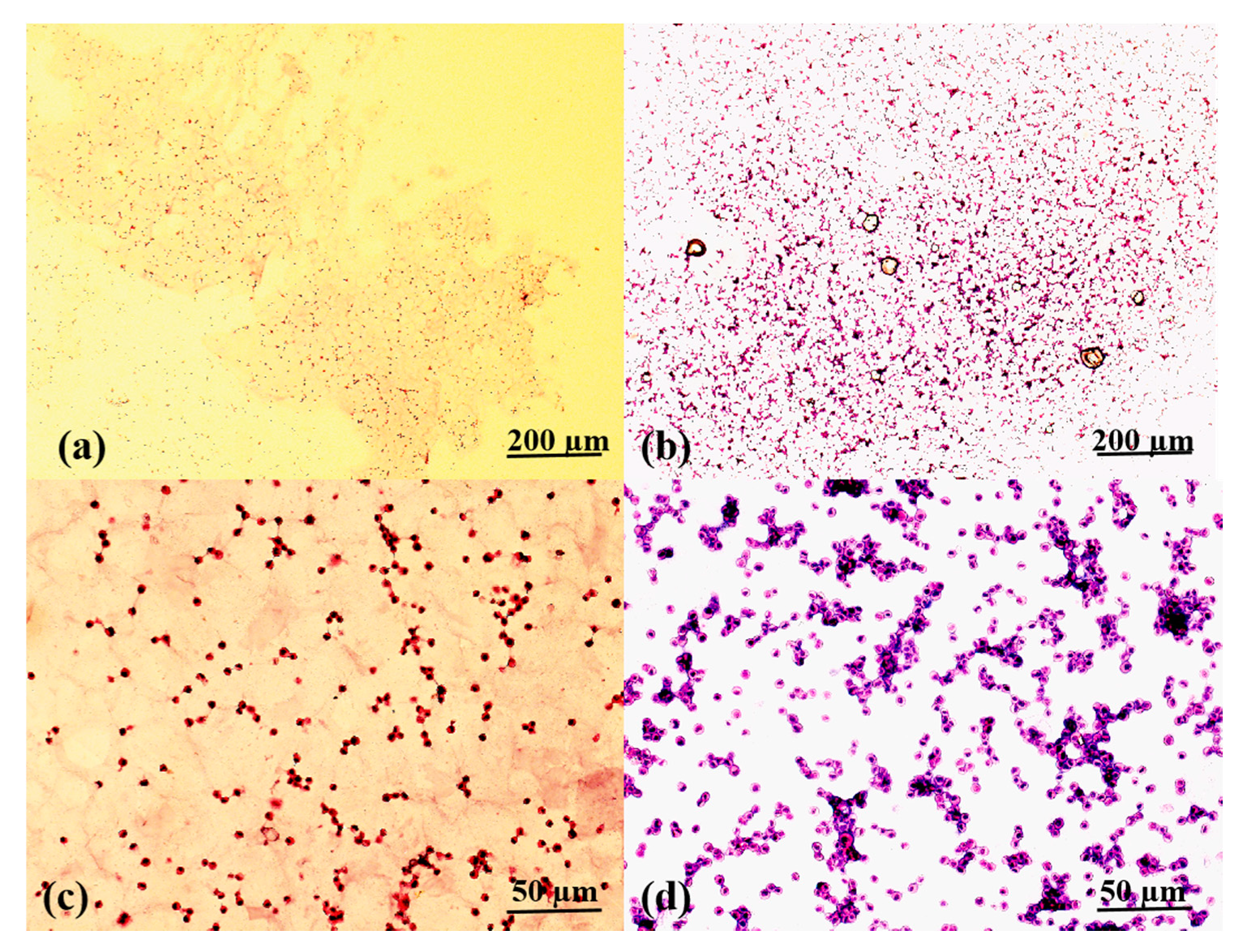 Molecules 25 00756 g010