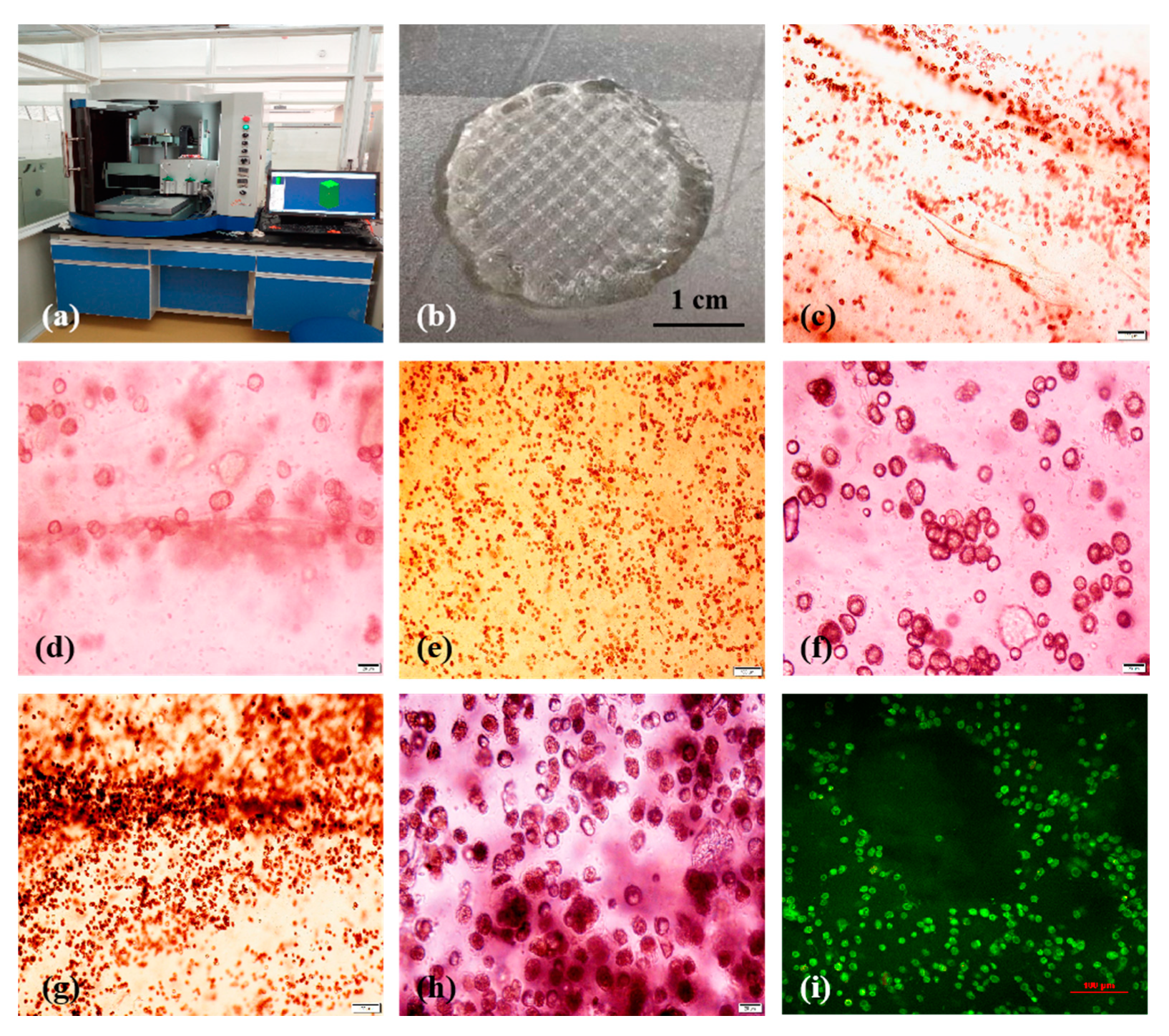 Molecules 25 00756 g011