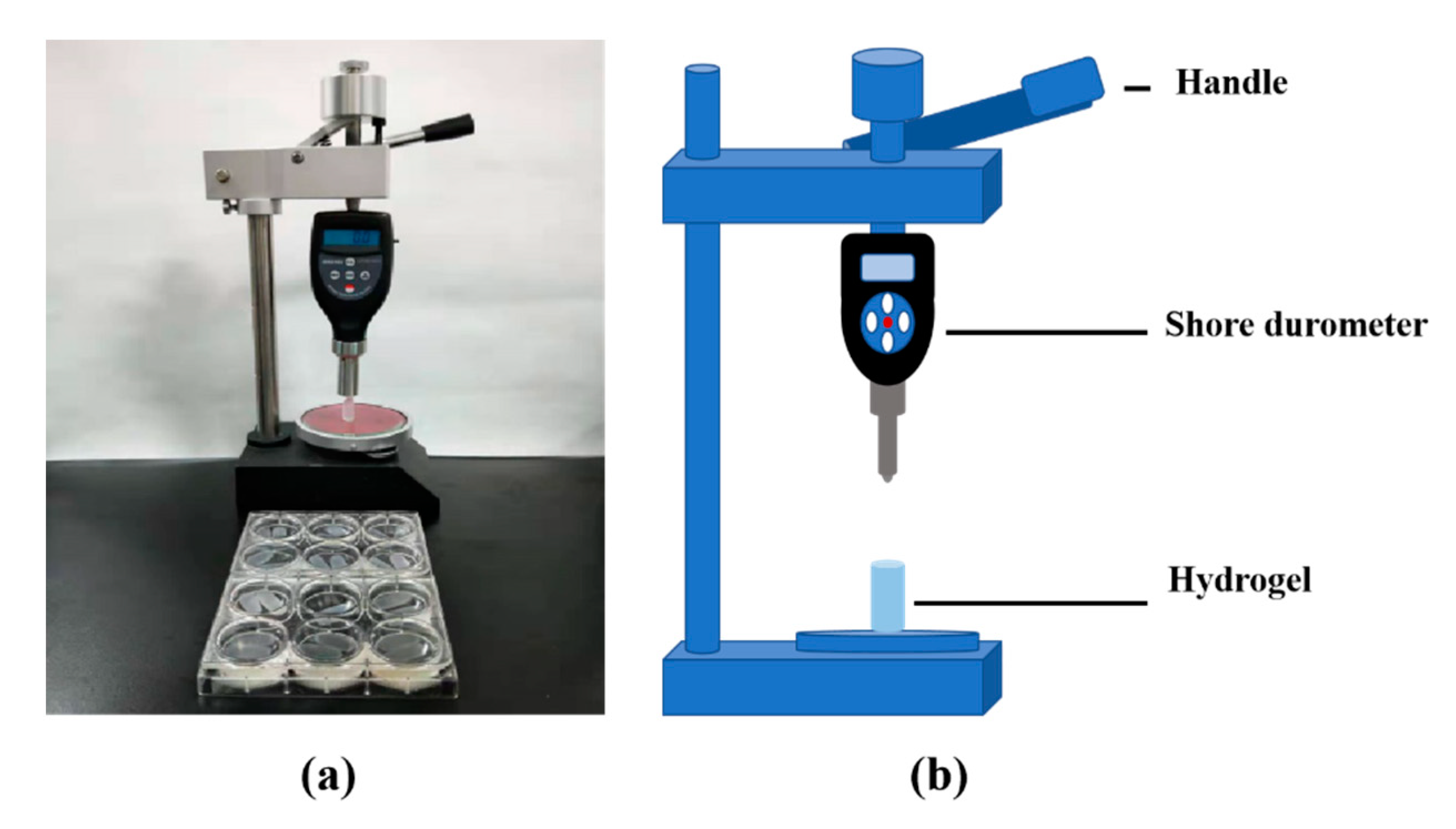 Molecules 25 00756 g012