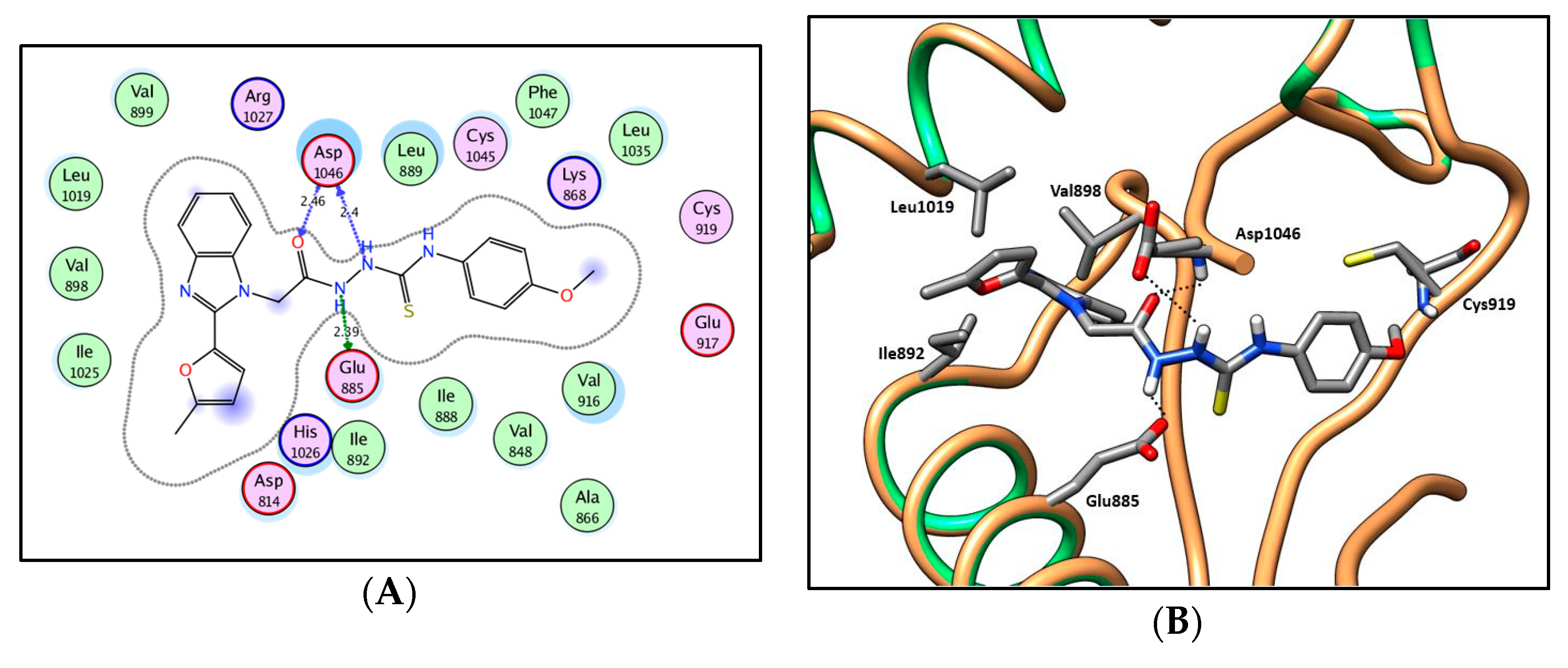 Molecules 25 00770 g013