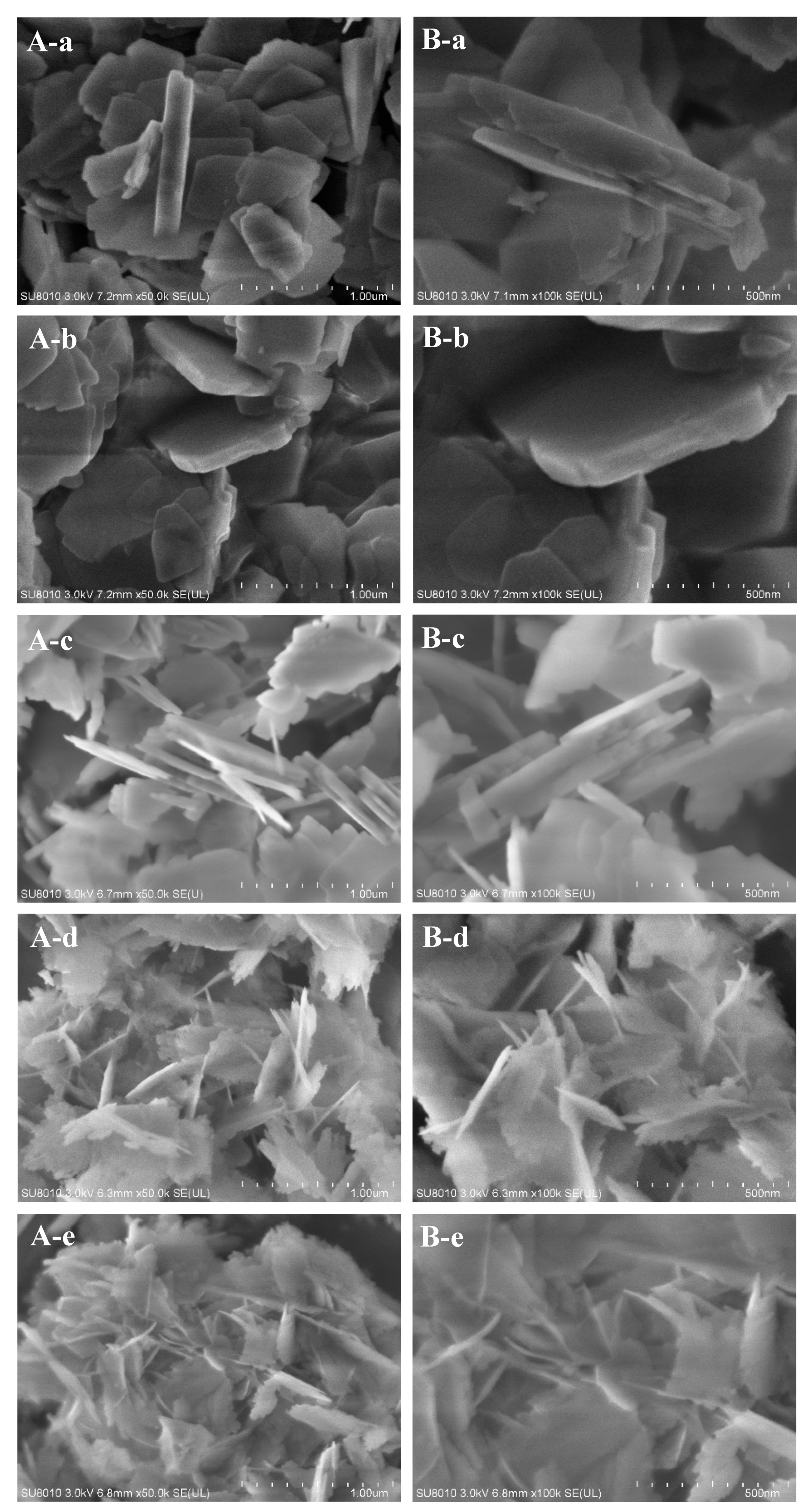 Molecules 25 00771 g002 Molecules 25 00771 g002