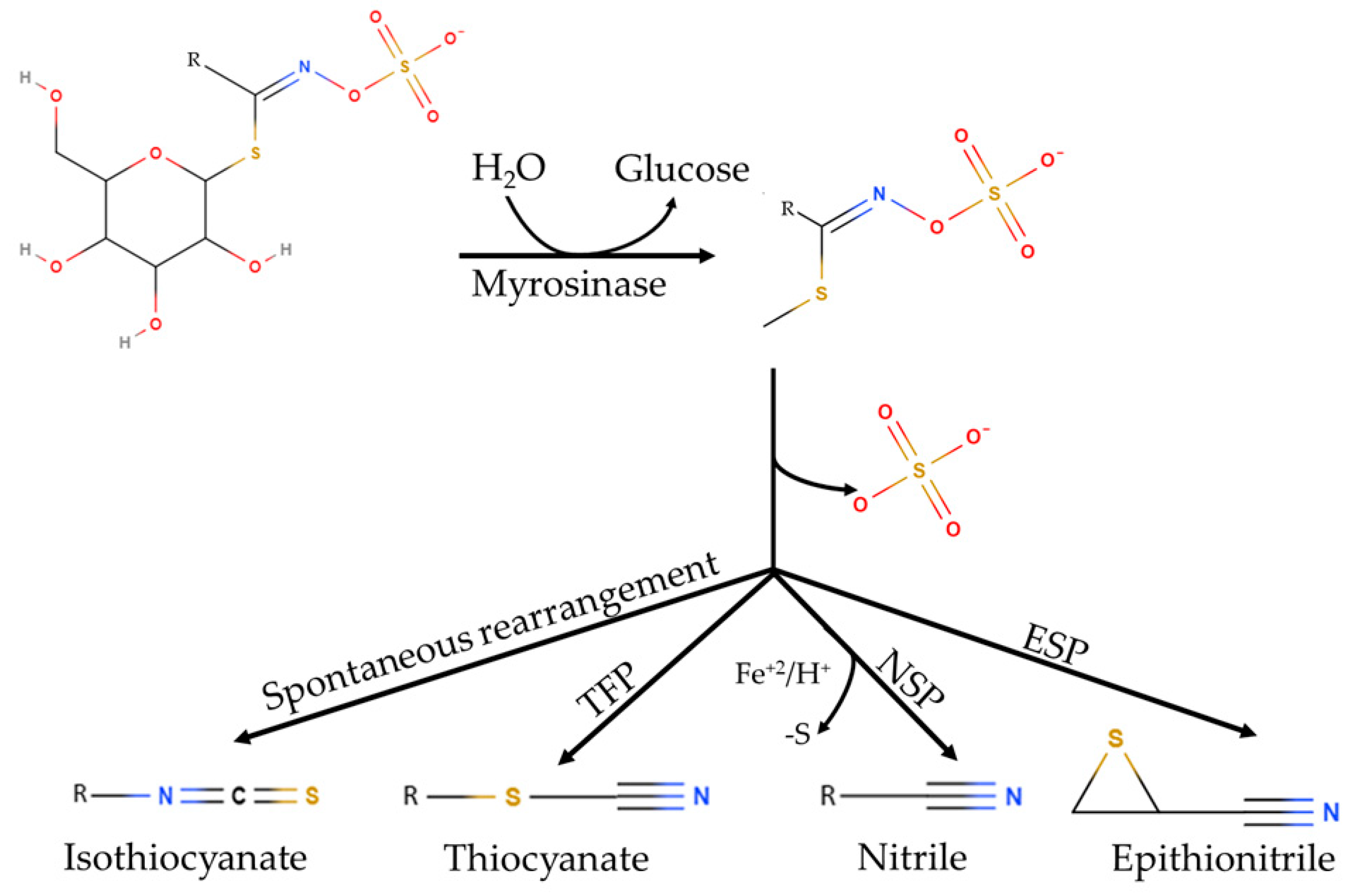 Molecules 25 00772 g001 Molecules 25 00772 g001