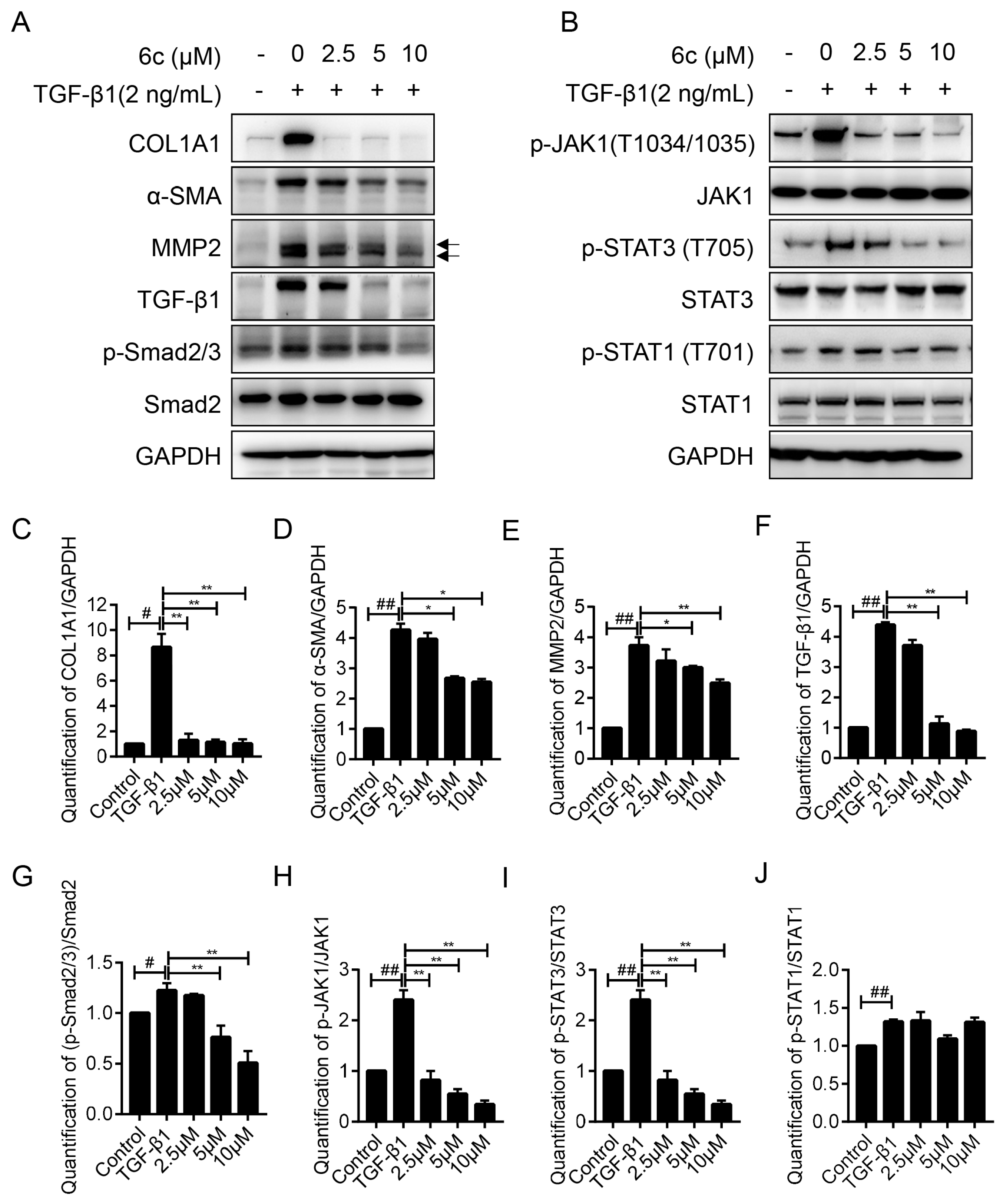 Molecules 25 00773 g005 Molecules 25 00773 g005