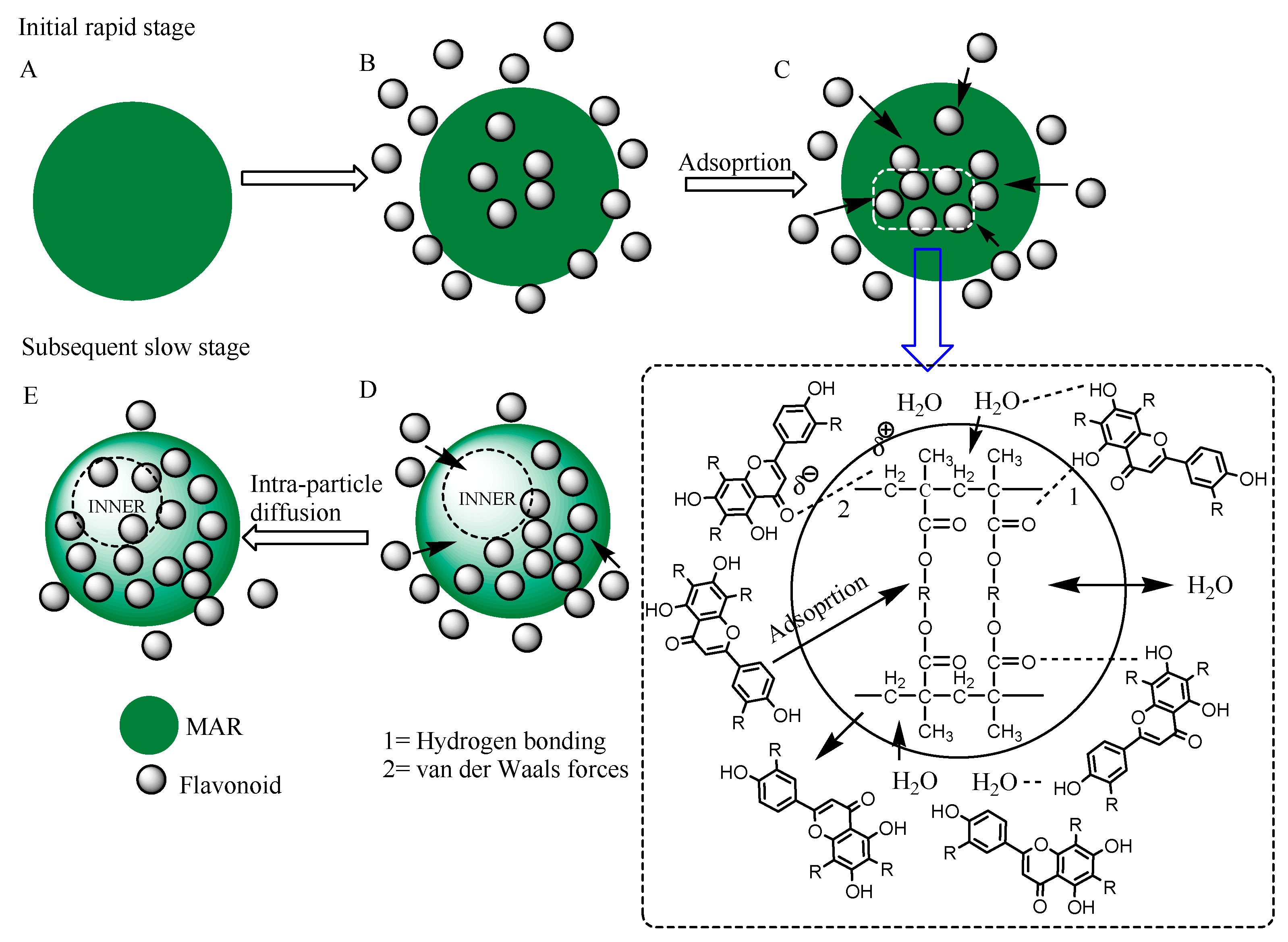 Molecules 25 00778 g002