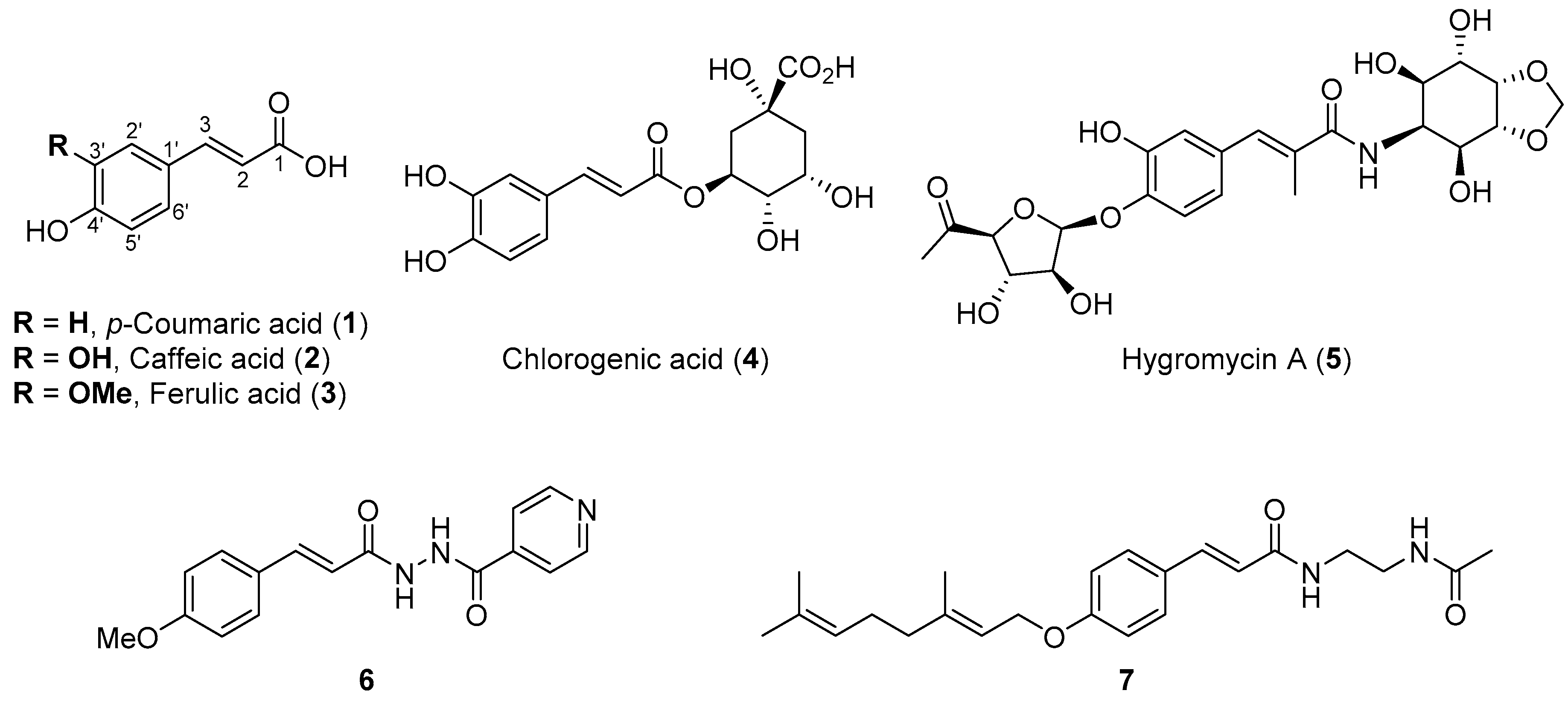Molecules 25 00789 g001