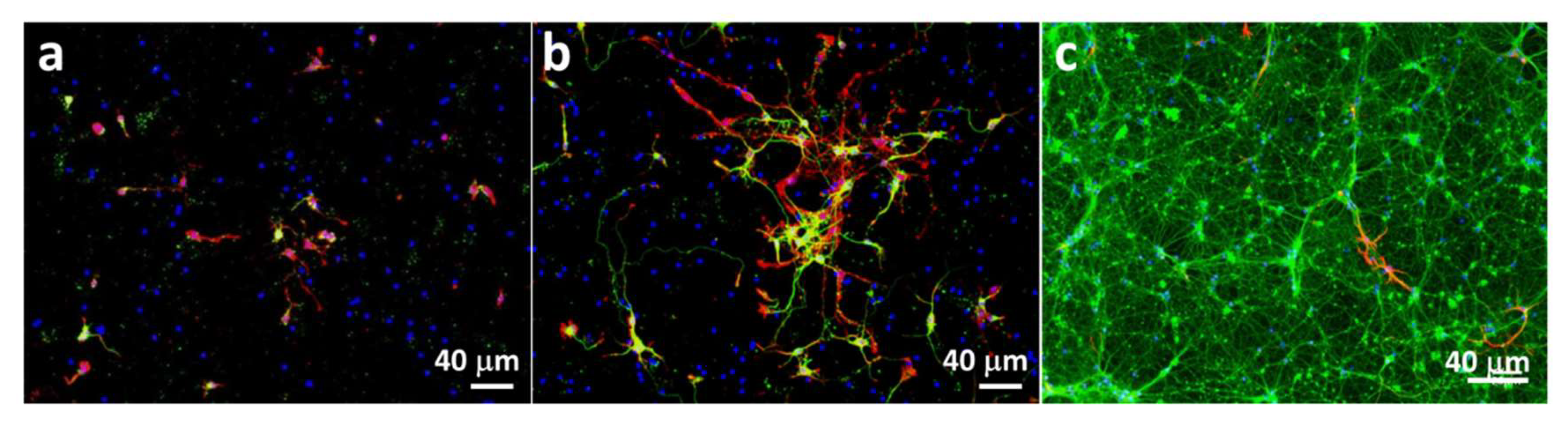 Molecules 25 00795 g001 Molecules 25 00795 g001