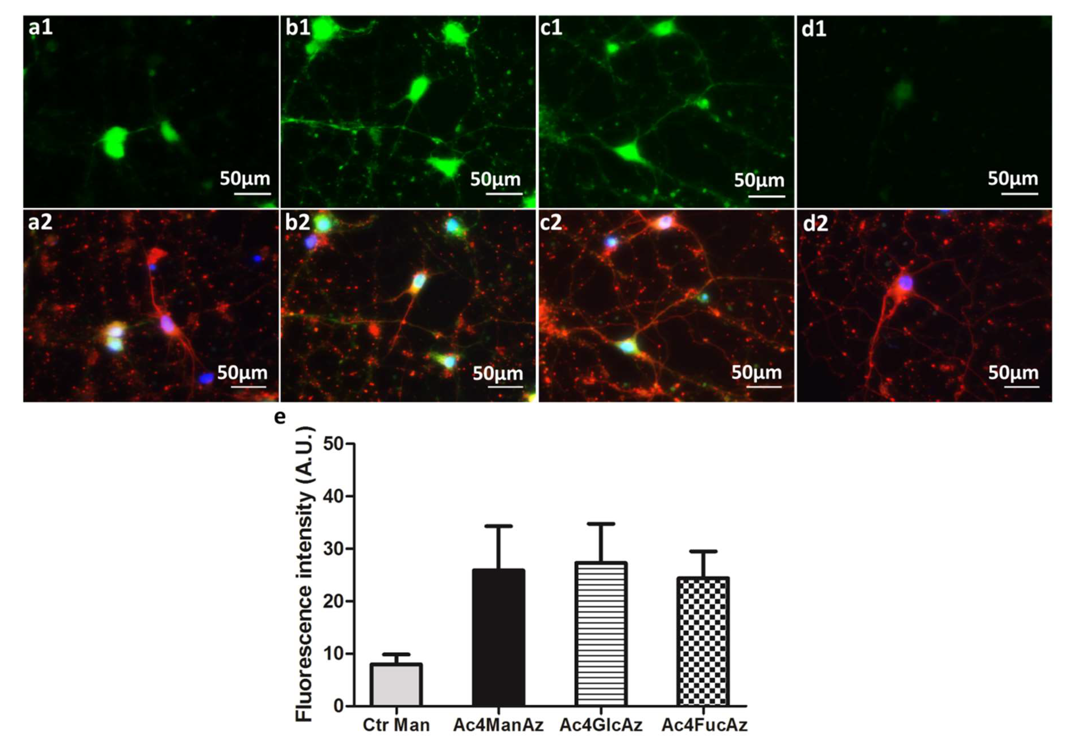 Molecules 25 00795 g003 Molecules 25 00795 g003