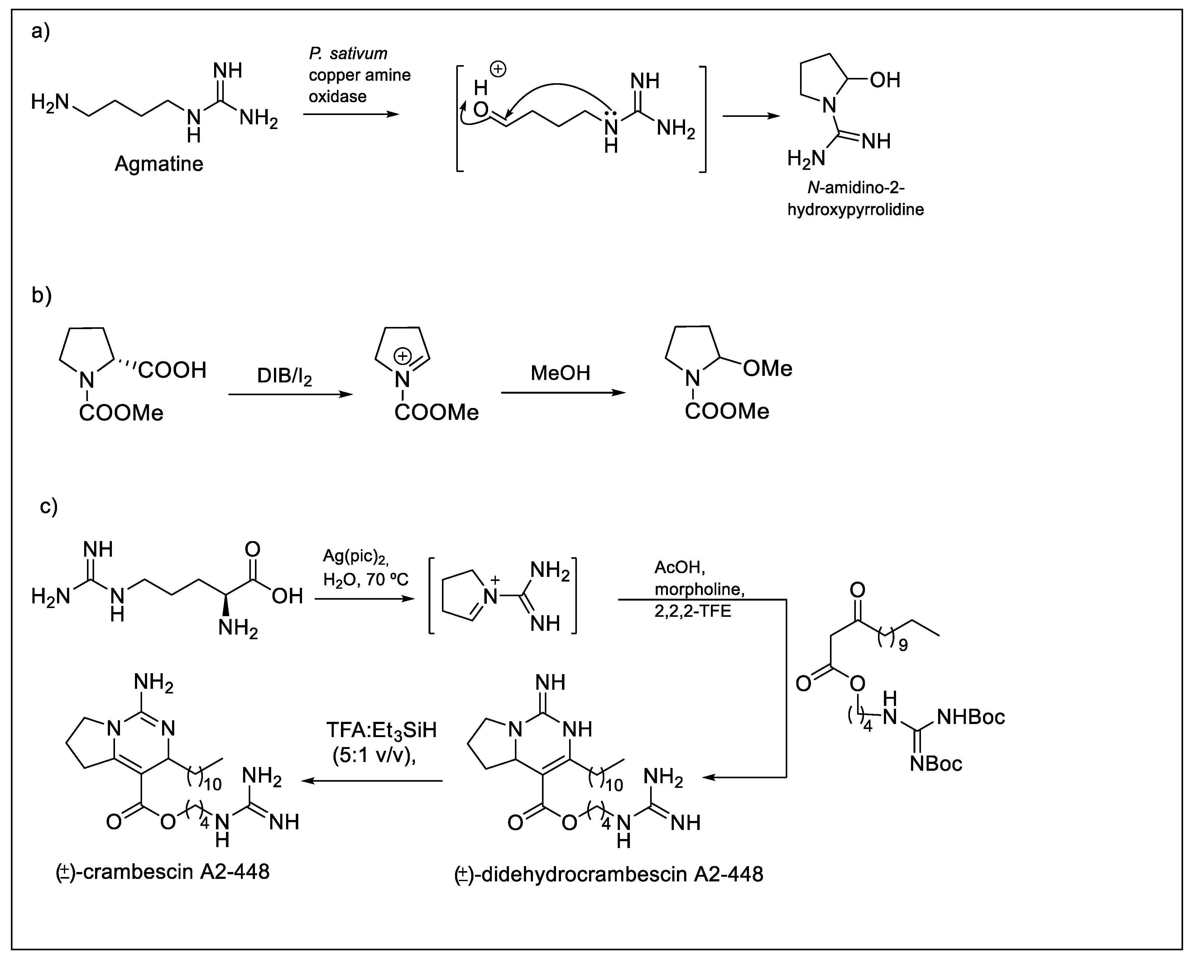Molecules 25 00797 g002 Molecules 25 00797 g002