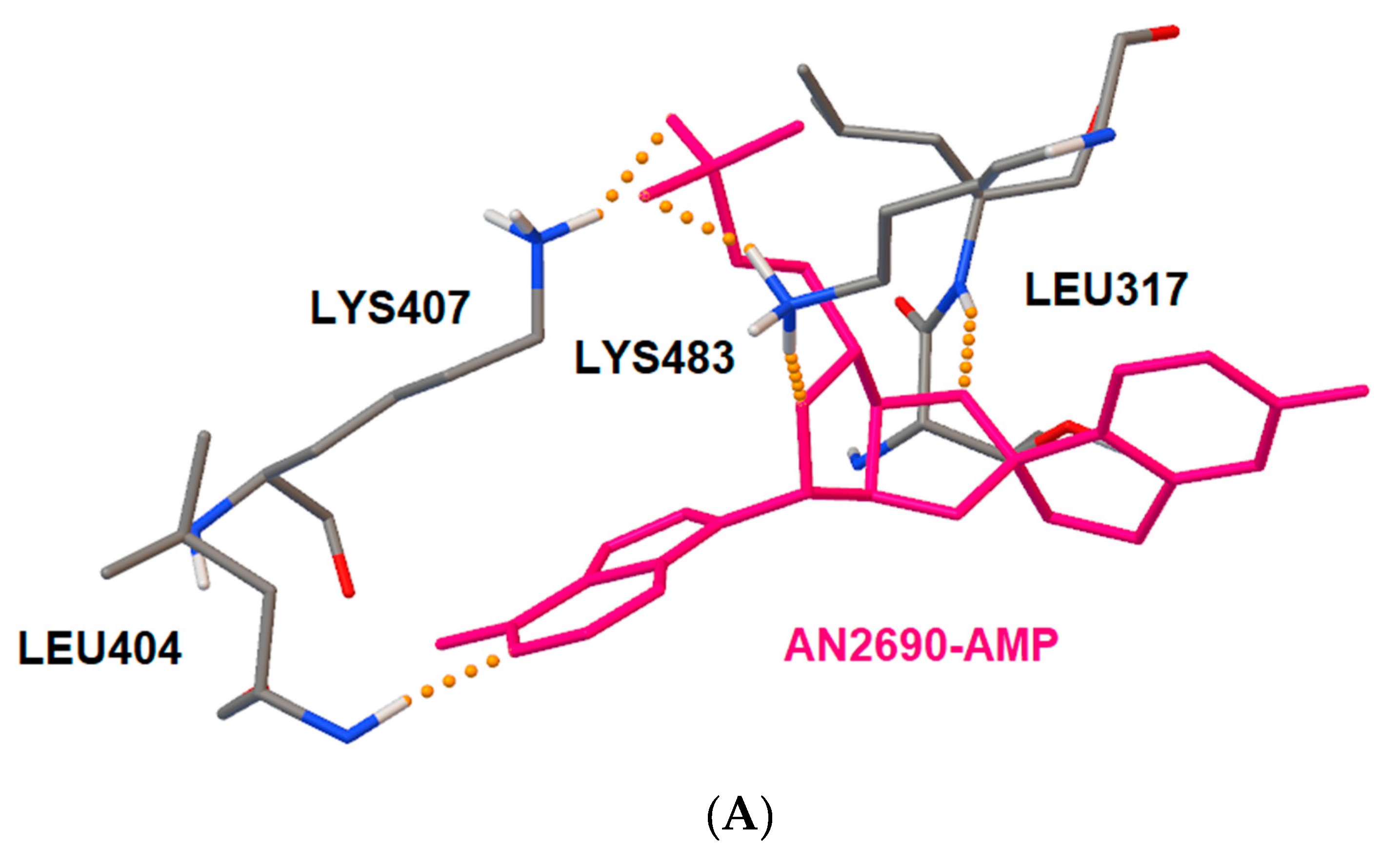 Molecules 25 00799 g003a Molecules 25 00799 g003a