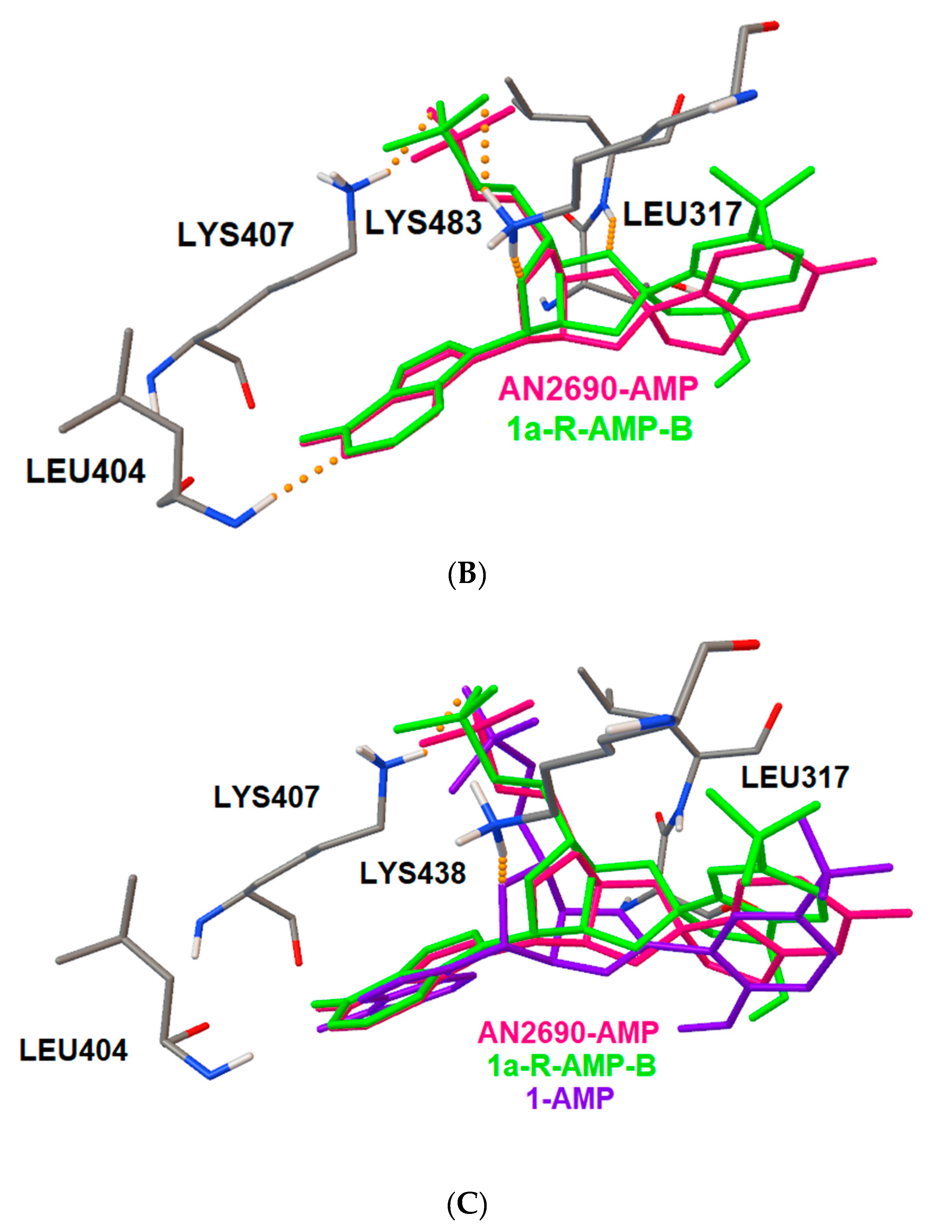 Molecules 25 00799 g003b Molecules 25 00799 g003b