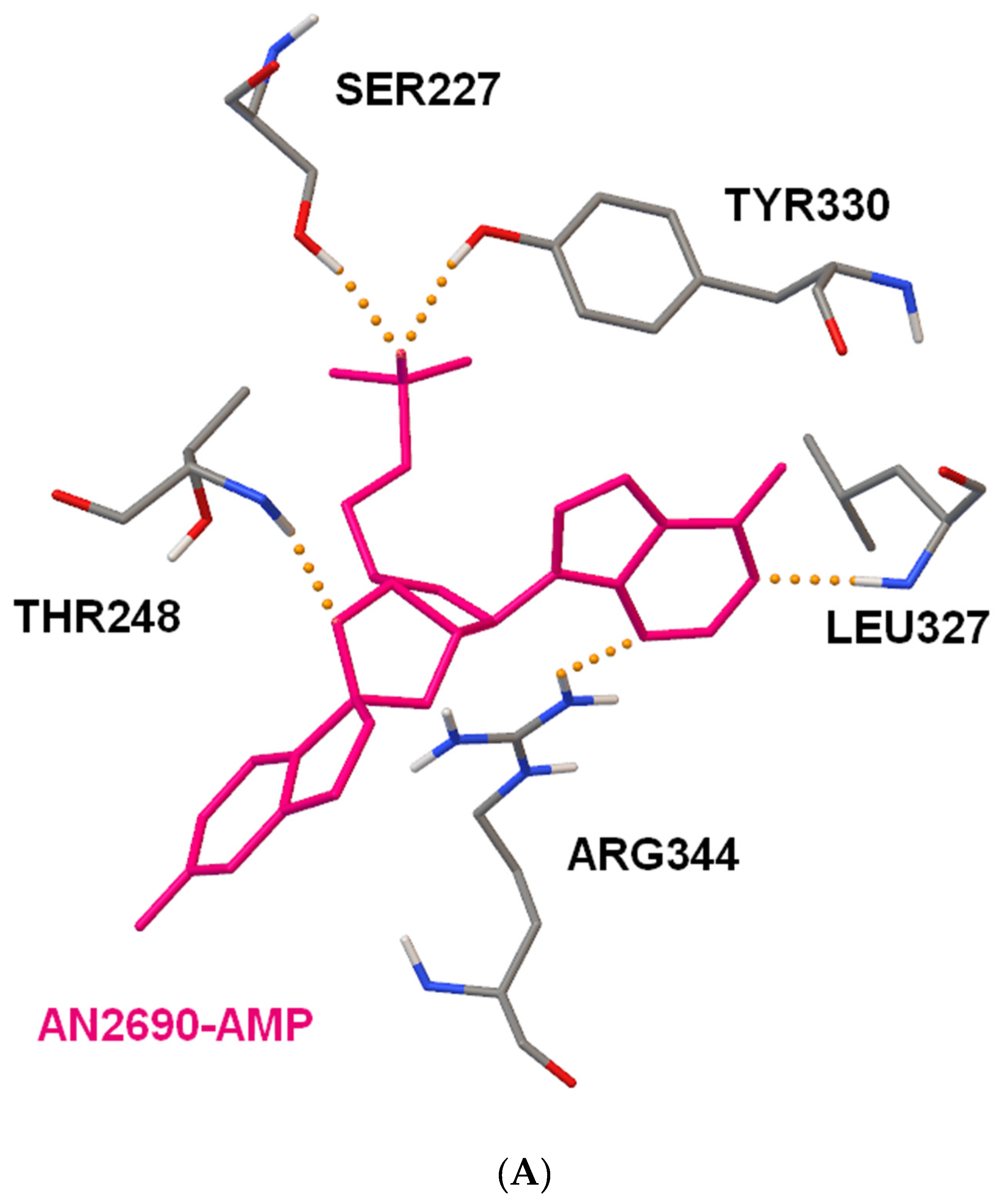 Molecules 25 00799 g004a Molecules 25 00799 g004a