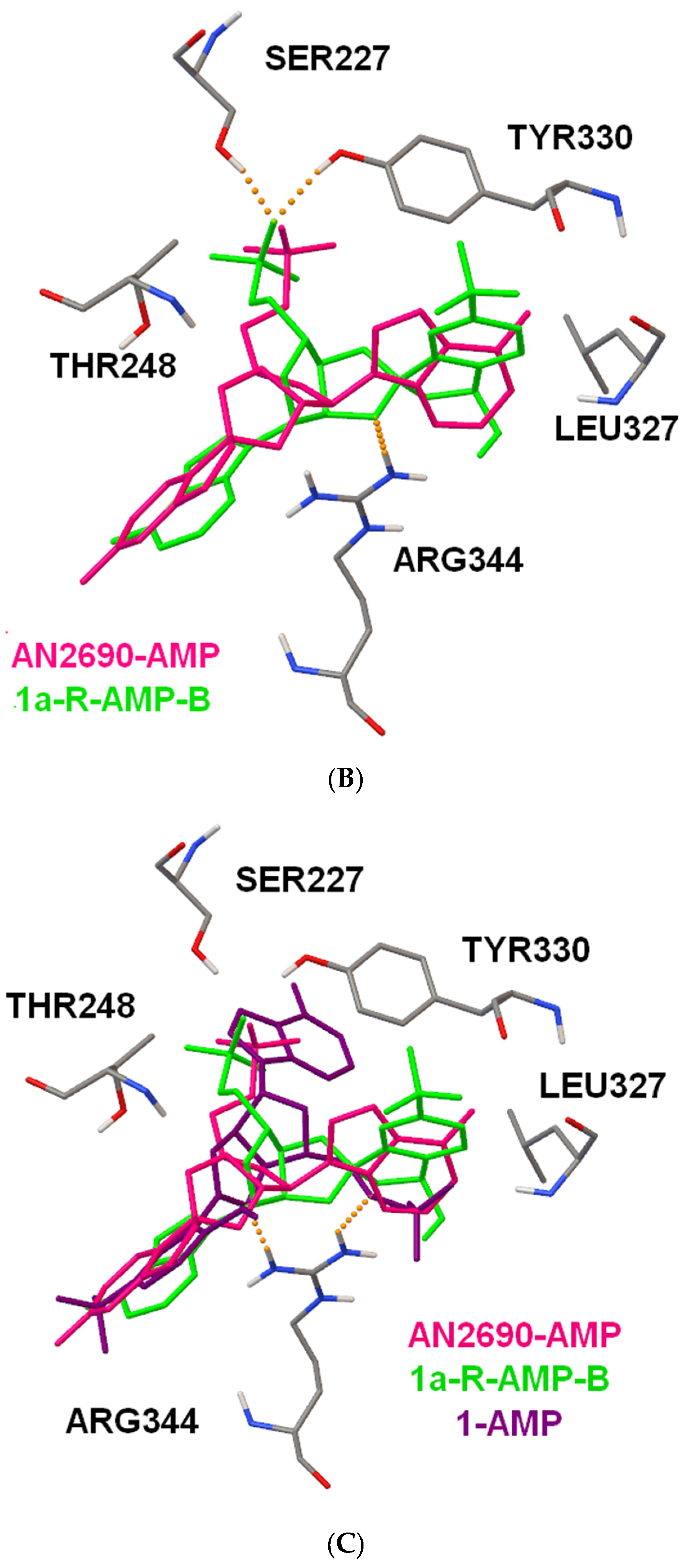 Molecules 25 00799 g004b Molecules 25 00799 g004b