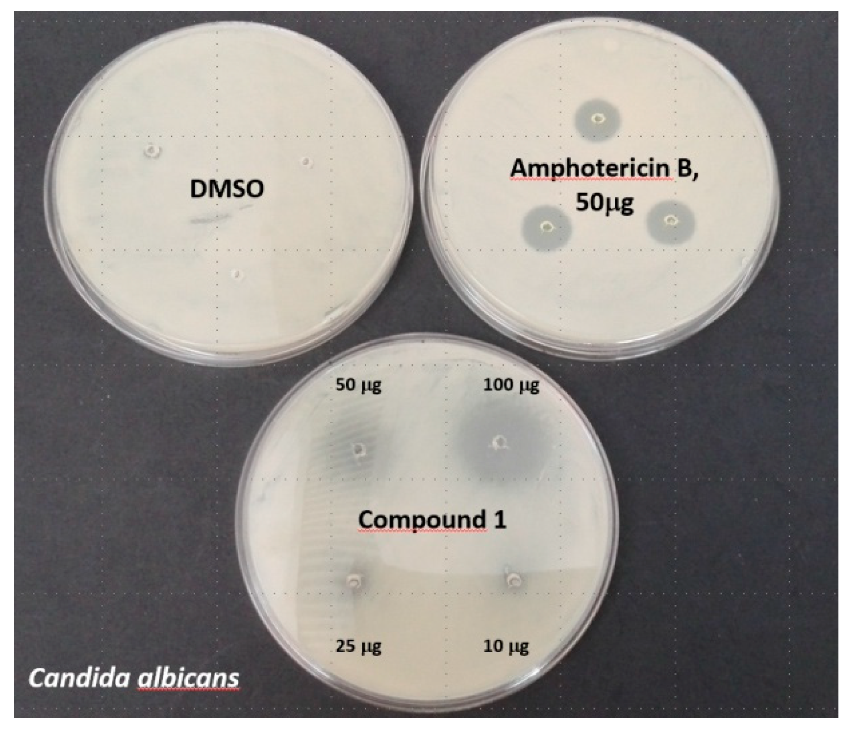 Molecules 25 00799 g005 Molecules 25 00799 g005